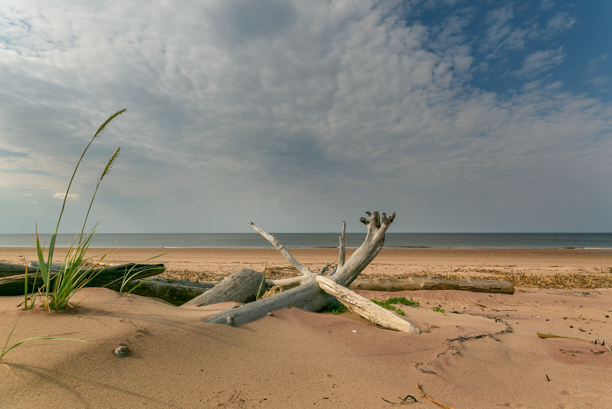 Жёнки по морю гуляли. Село Нёнокса. Фотограф — путешественник Светлана Романовская