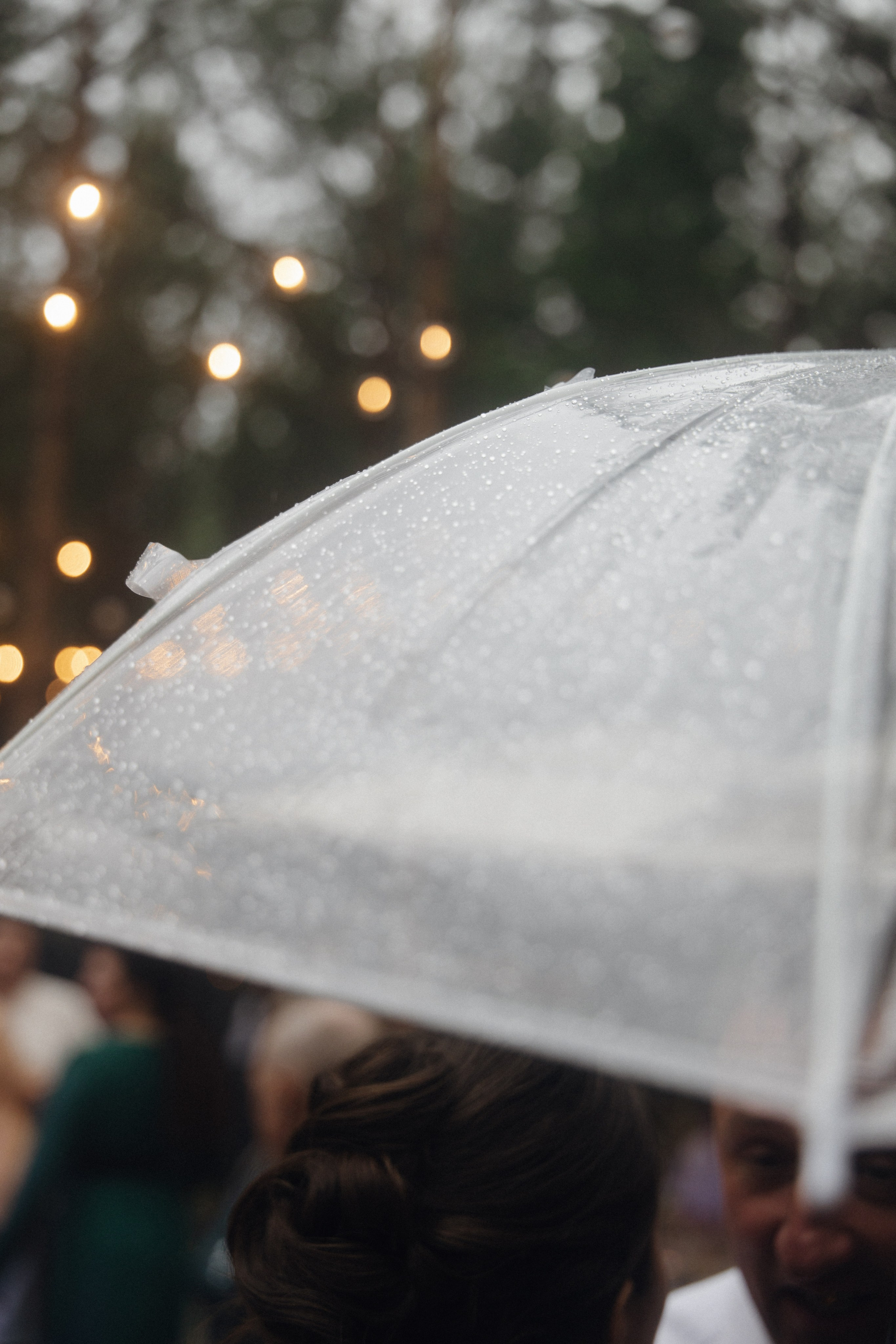 Свадьба в лесу Владислава и Светланы. Свадебный организатор Марина Корсакова, Барнаул, Бийск, Алтайский край, Горный Алтай, Новосибирск