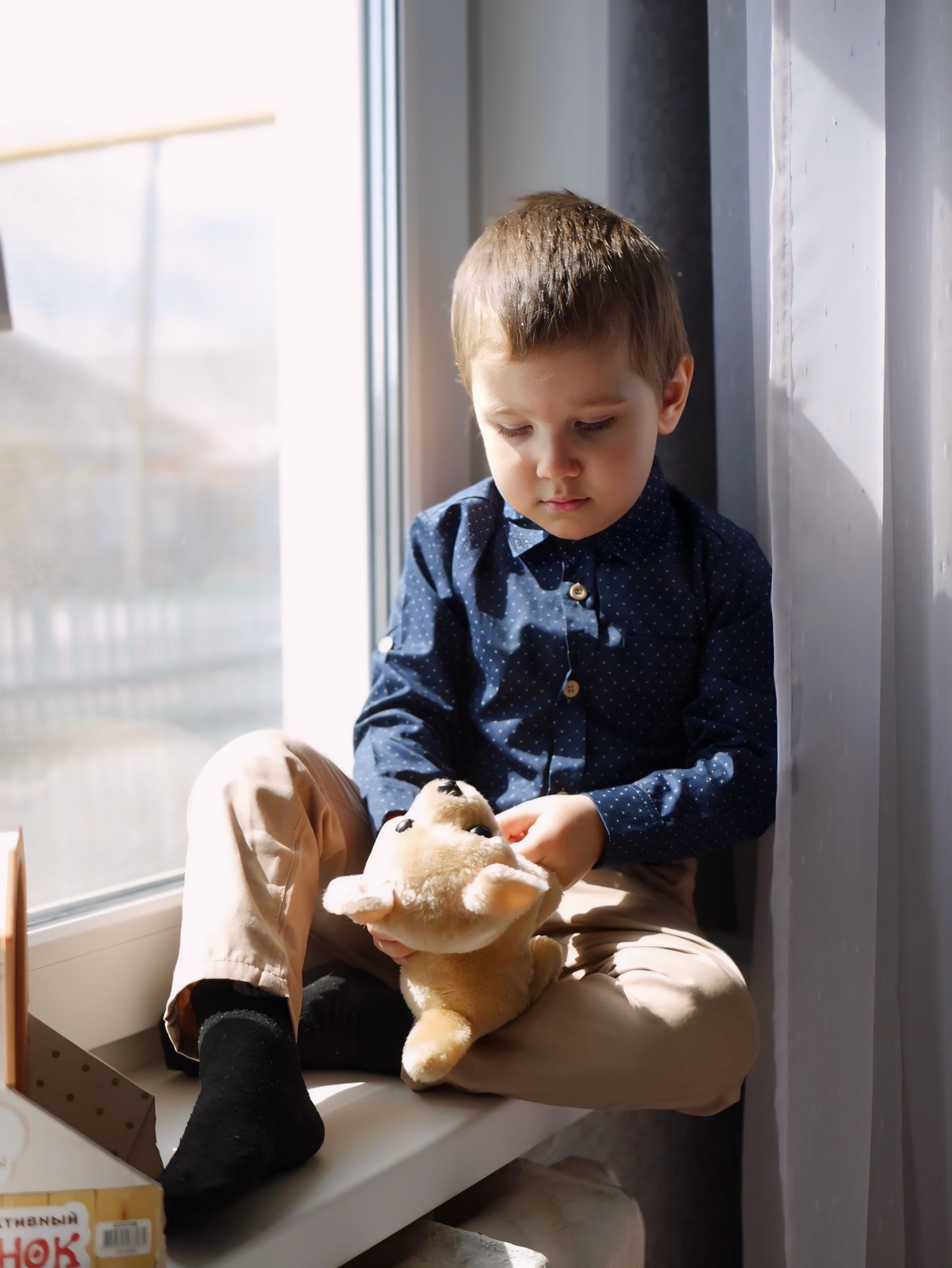 Семья Мезетовых