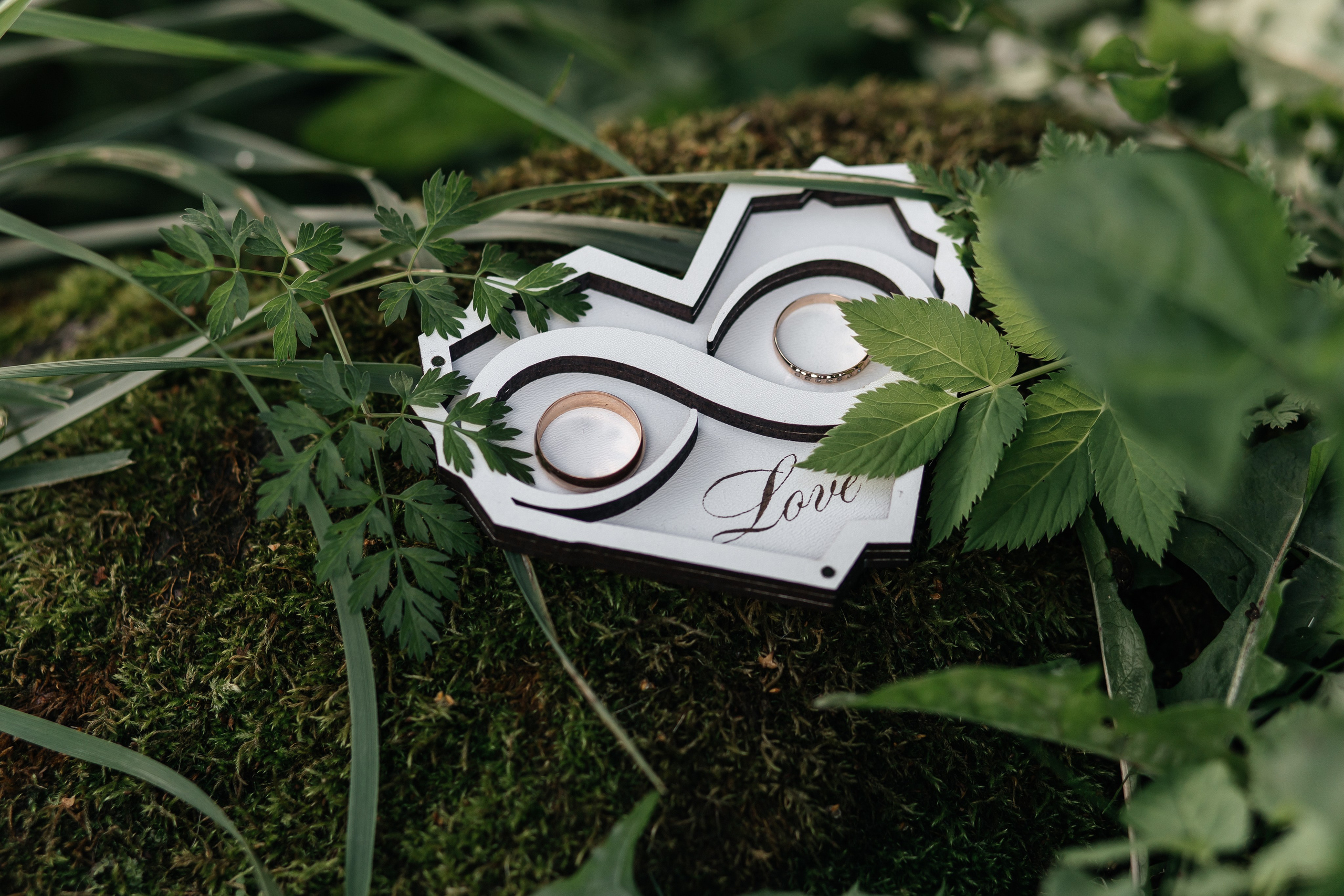 Илья и Мария. Свадебный фотограф Настя Шелл г. Череповец