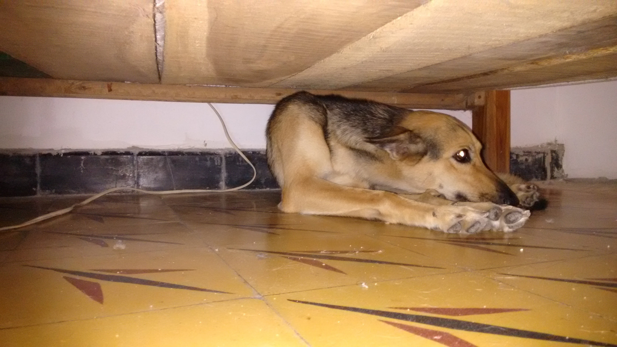 Автор: Андрес Виллья