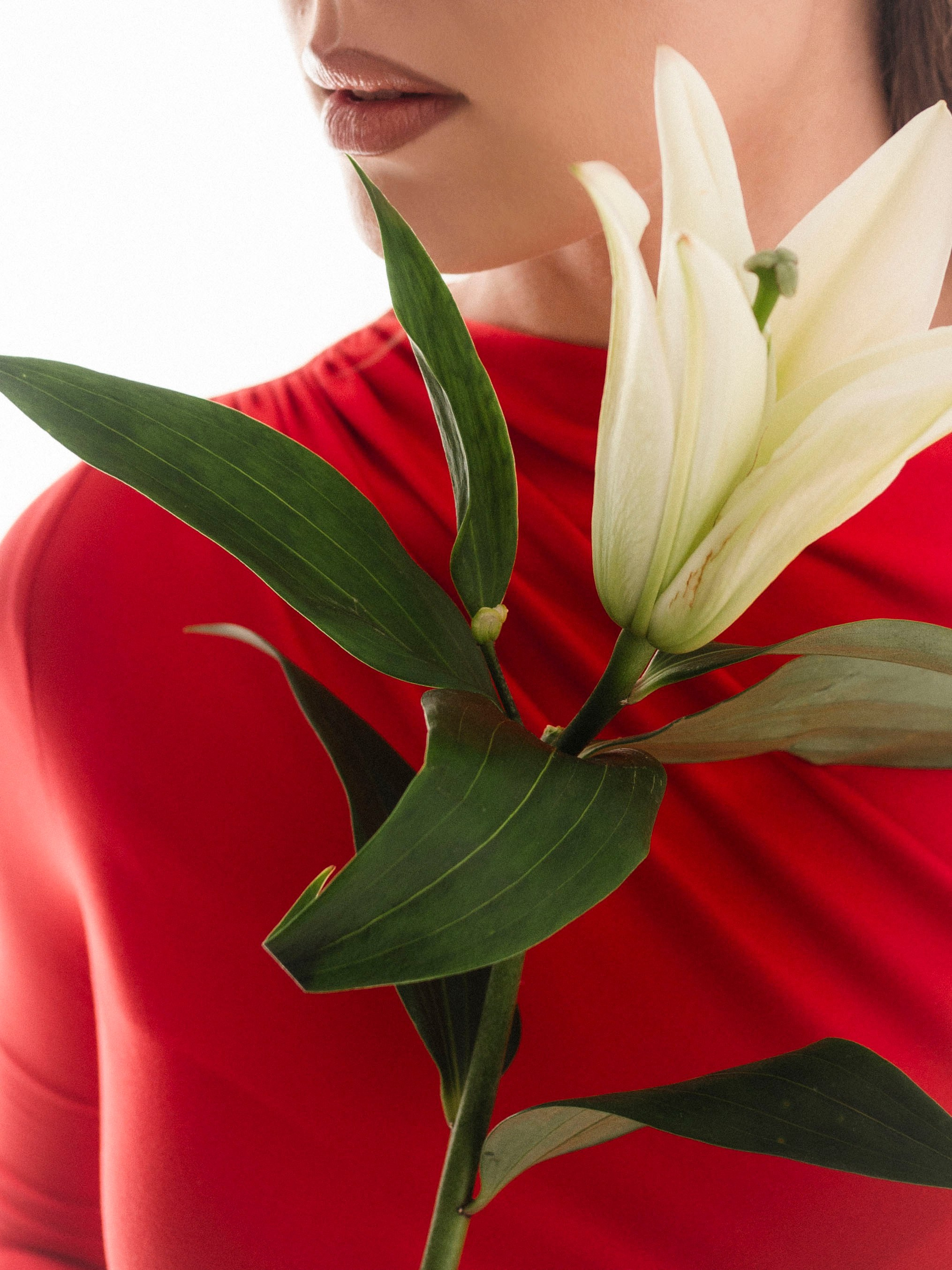 Портфолио. Фотограф в Нижнем Новгороде, Сарове и Москве. Оля Фролова