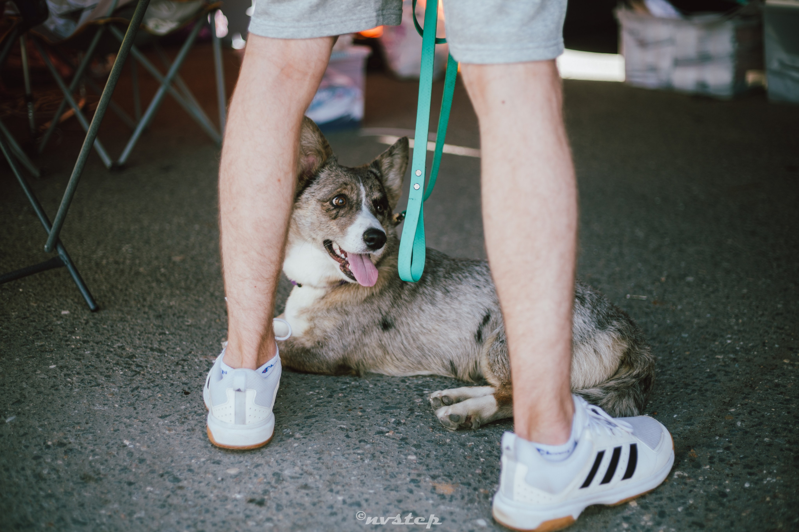 WistaMeet 2025. Мультижанровый фотограф в Москве Наталия Степанова