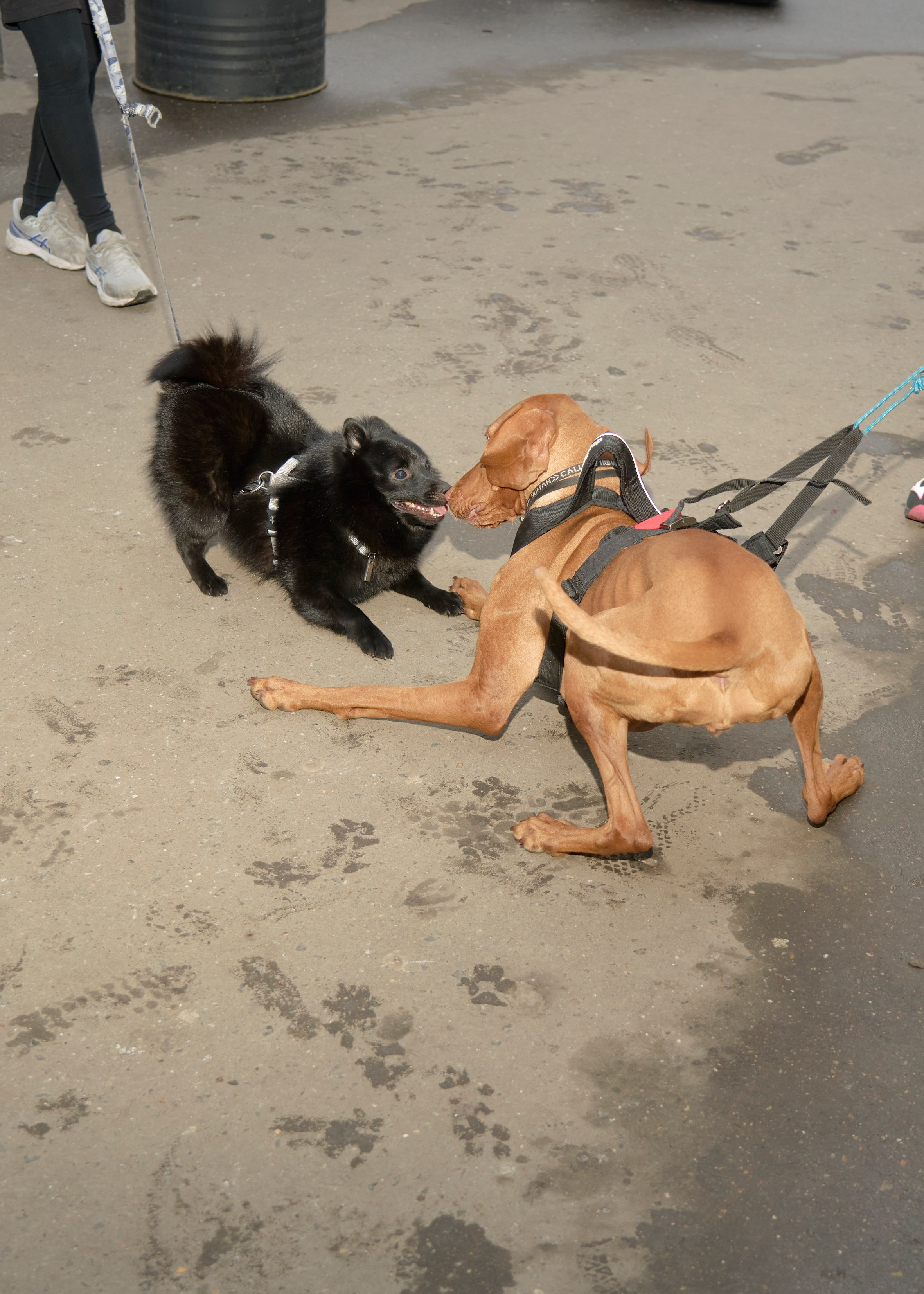 Peak running club. Владимир Спивак — фотограф, дизайнер, продюсер | Основатель бегового клуба Spivak Run
