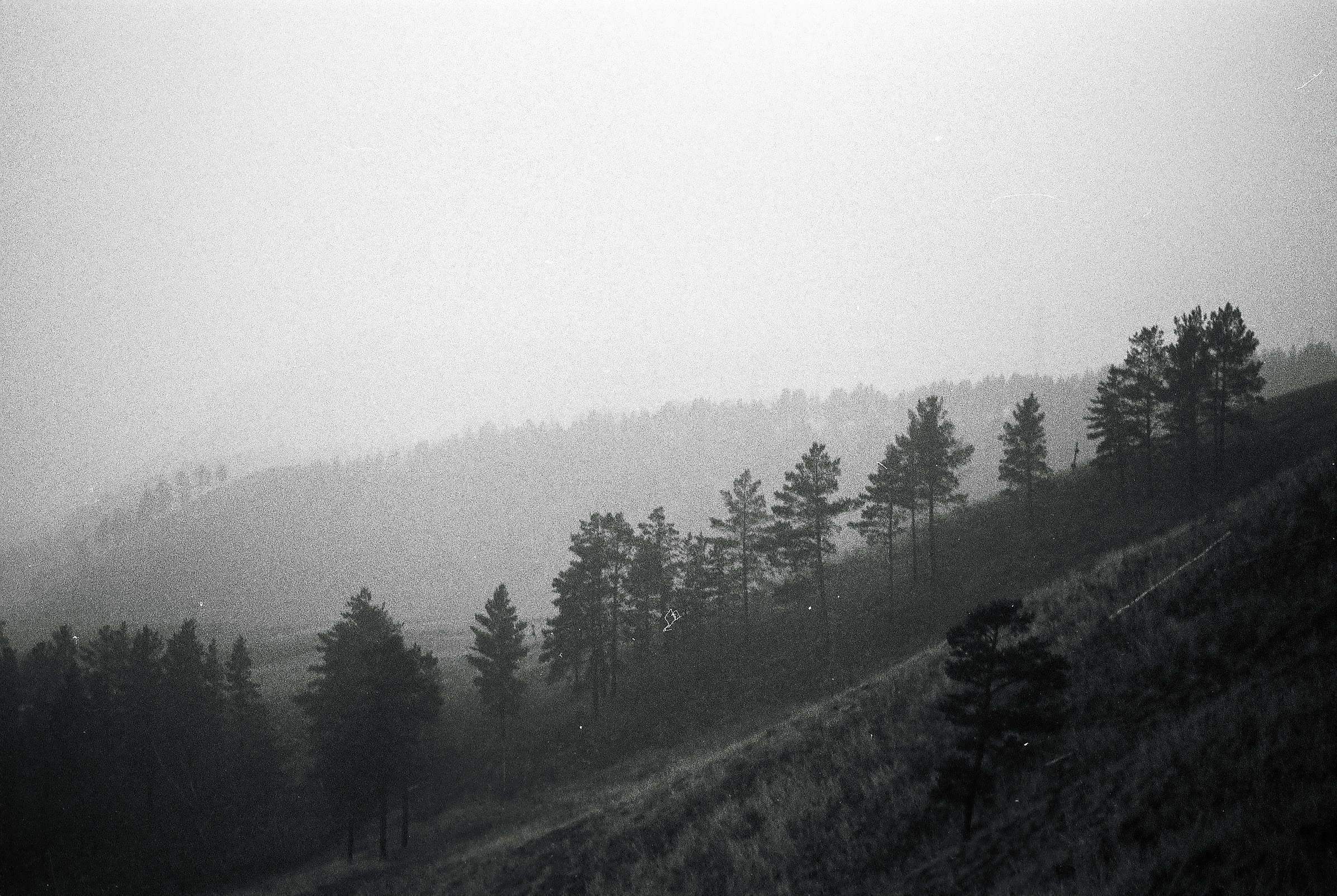 Автор: Любовь Степанова