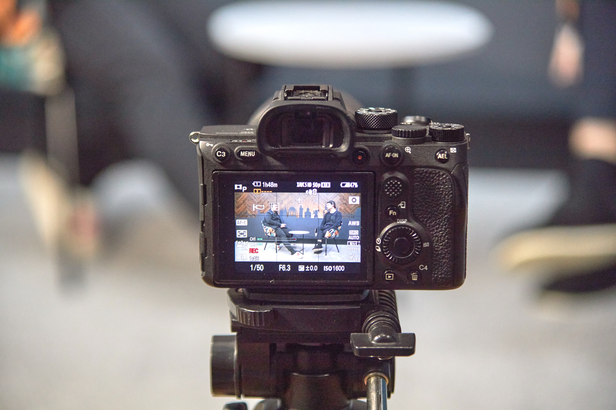 В нашей студии мы снимаем ролики на хромакее (зеленом фоне). Фото и видеосъёмка в Ярославле | Студия The One — от 2500 ₽/час