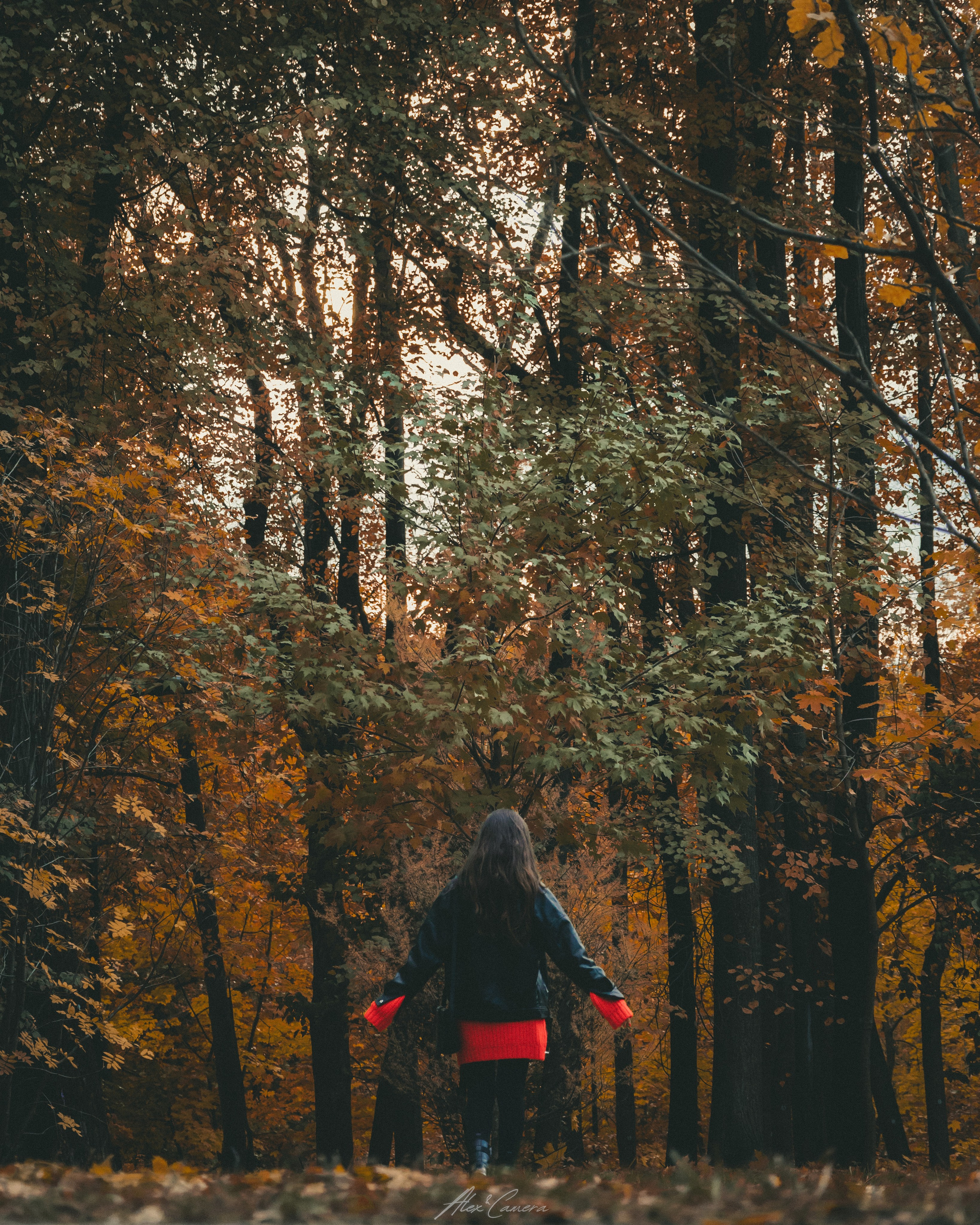 Осень в разгаре!. Alex&Camera Photography