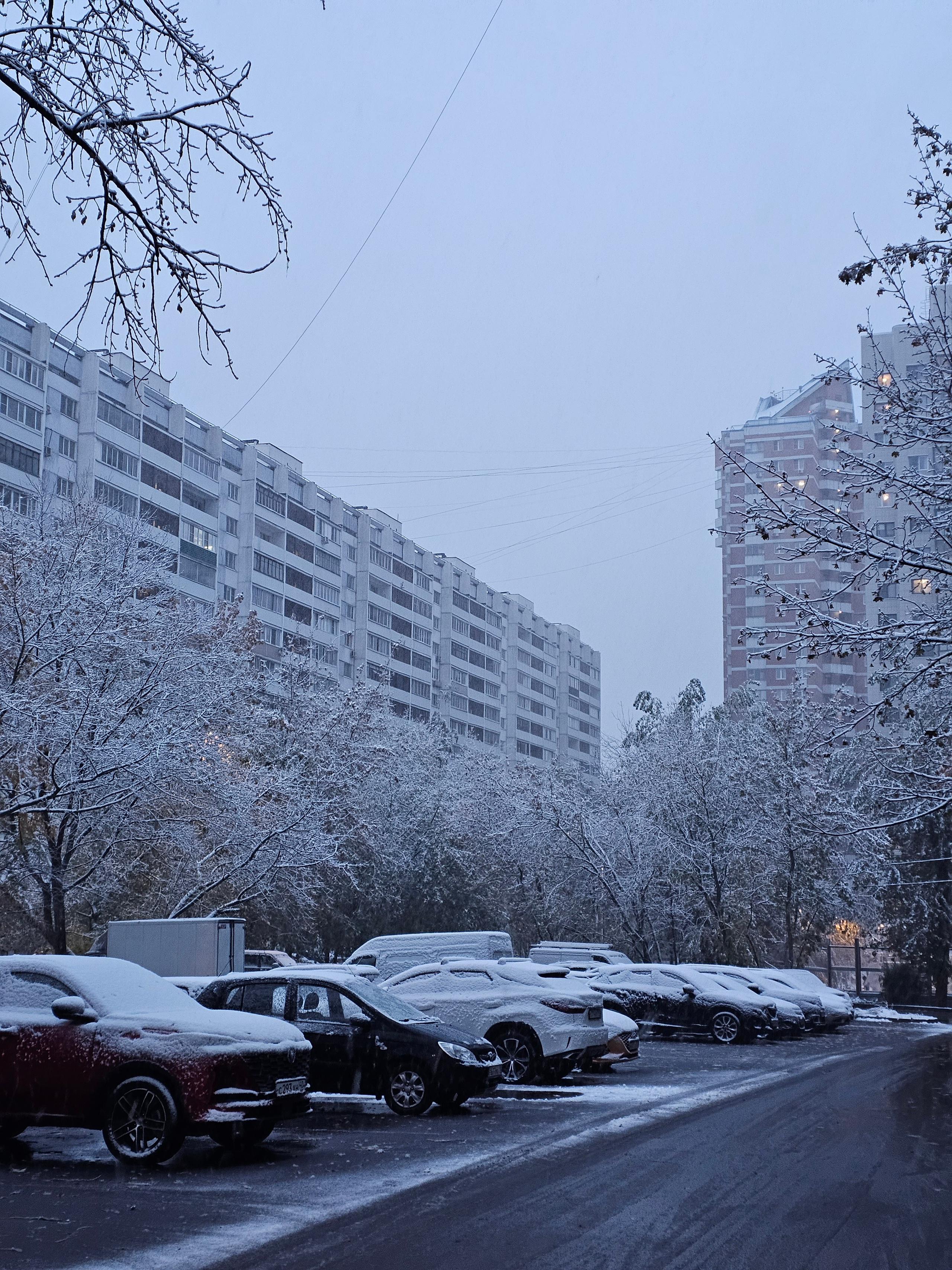081124. Ilaronsia эстетика фото визуал