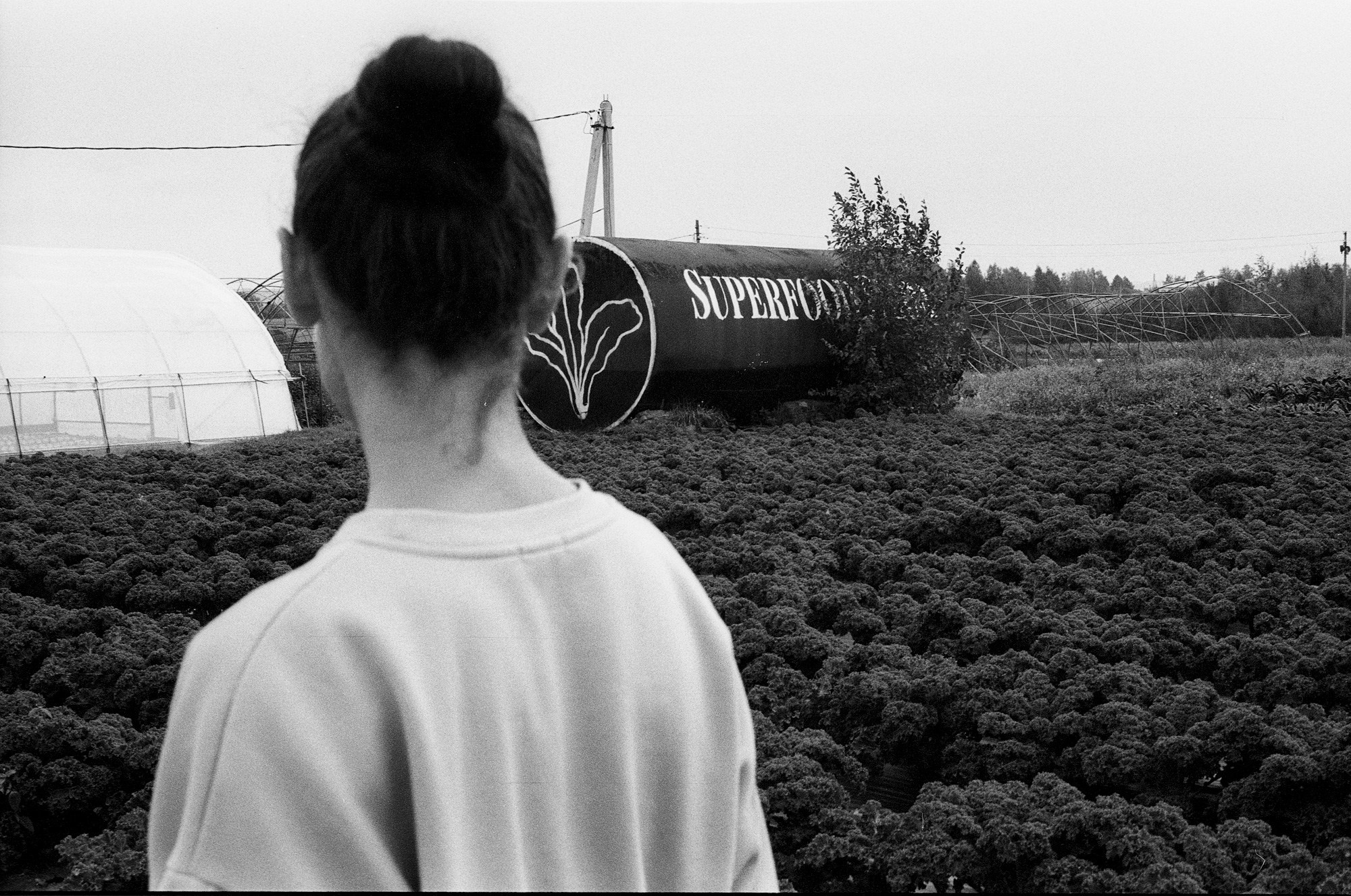 SuperFoodFarm. The history of the farm. Another person Pavel Potseluev. A photographer in 2025