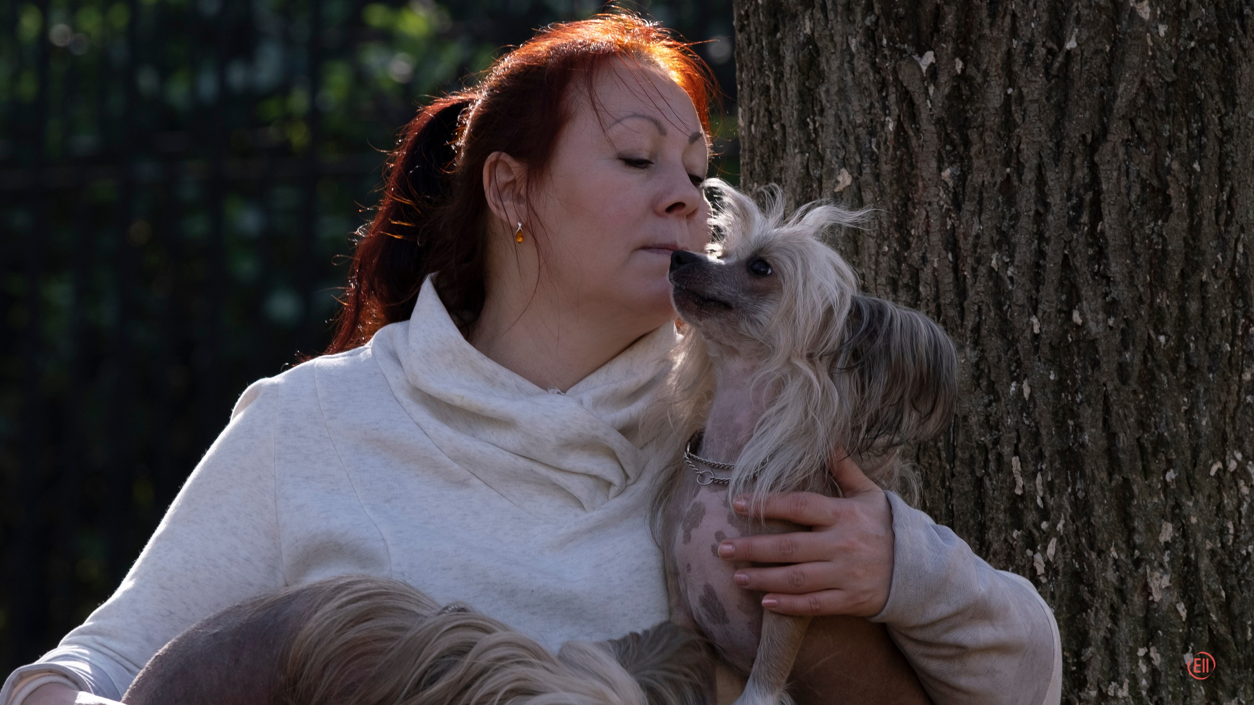 On a walk. Chinese Crested Dog Kennel Poale Ell