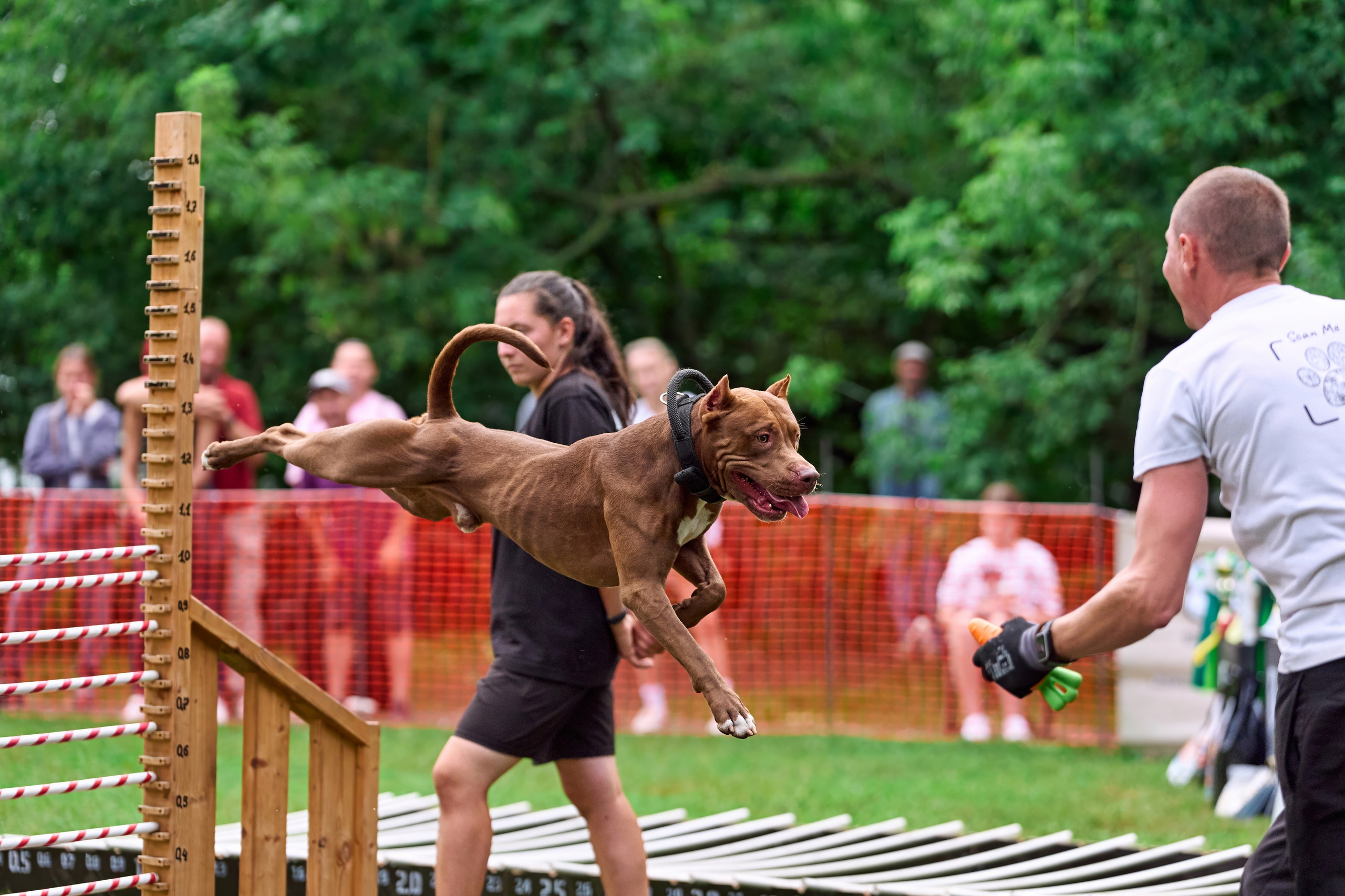Jump'n'Gym JUMP! — 2024. Фотограф-анималист Михаил Манухин