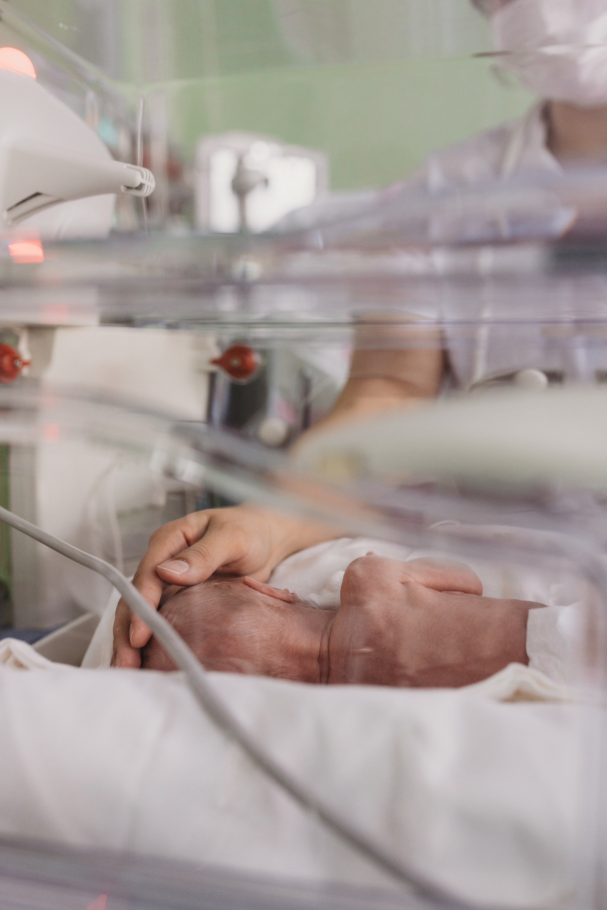 5 апреля — день неонатологов. Фотограф новорожденных в г. Барнаул Ренпенинг Катерина