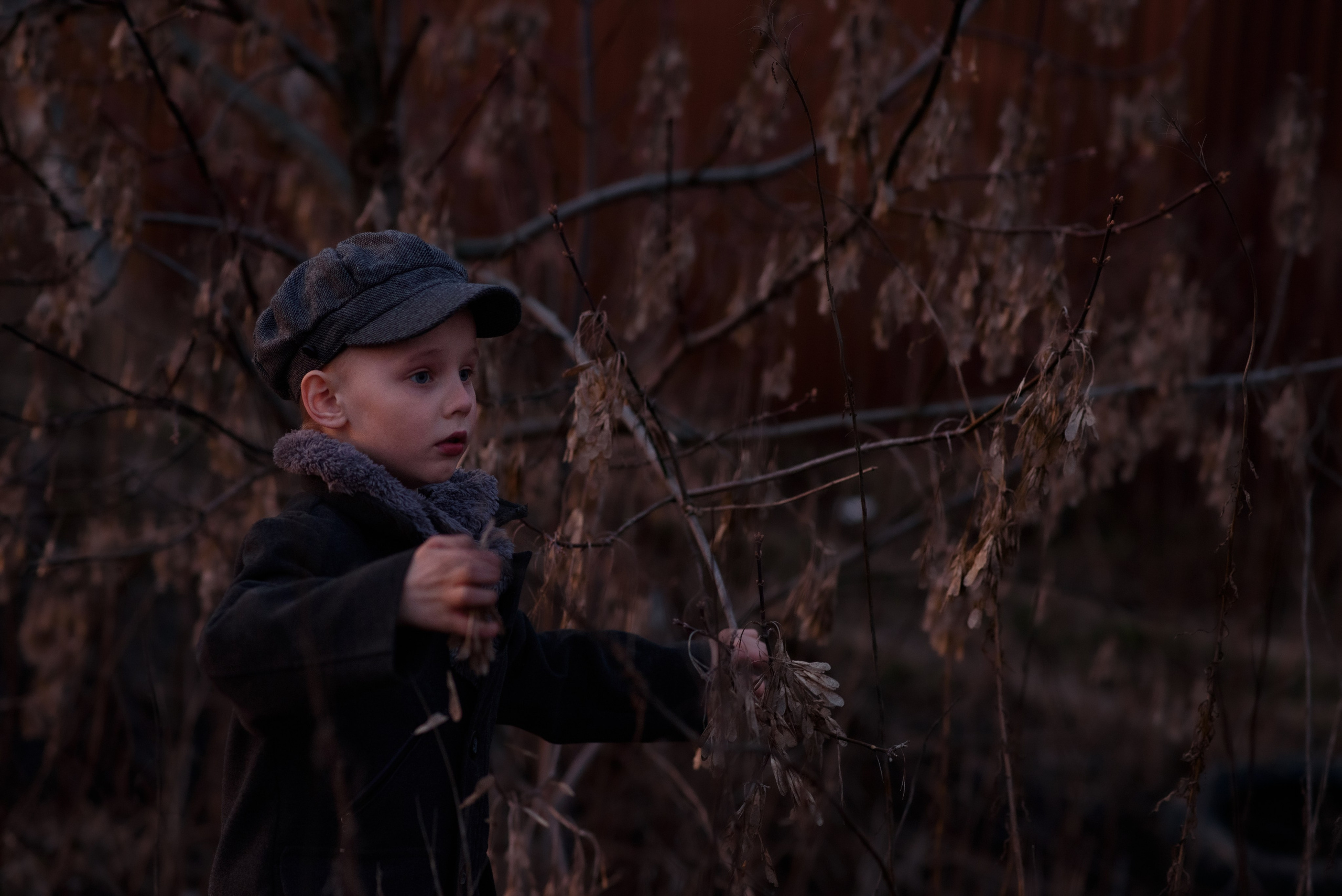 Юный Гаврош в поле. Анна Боровикова, фотограф Пушкино