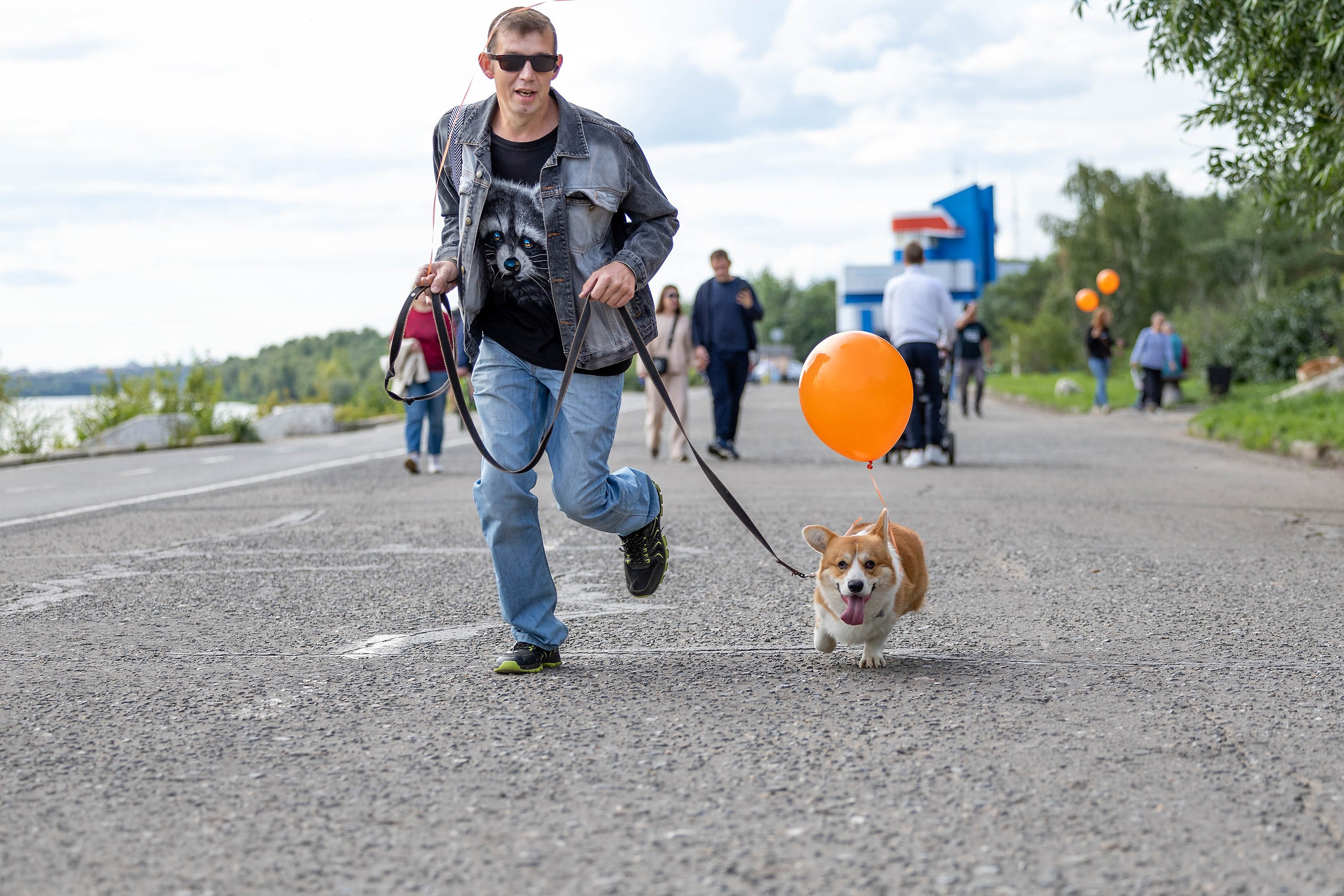 Корги-туса. Фотограф-анималист в Омске Екатерина Маричева