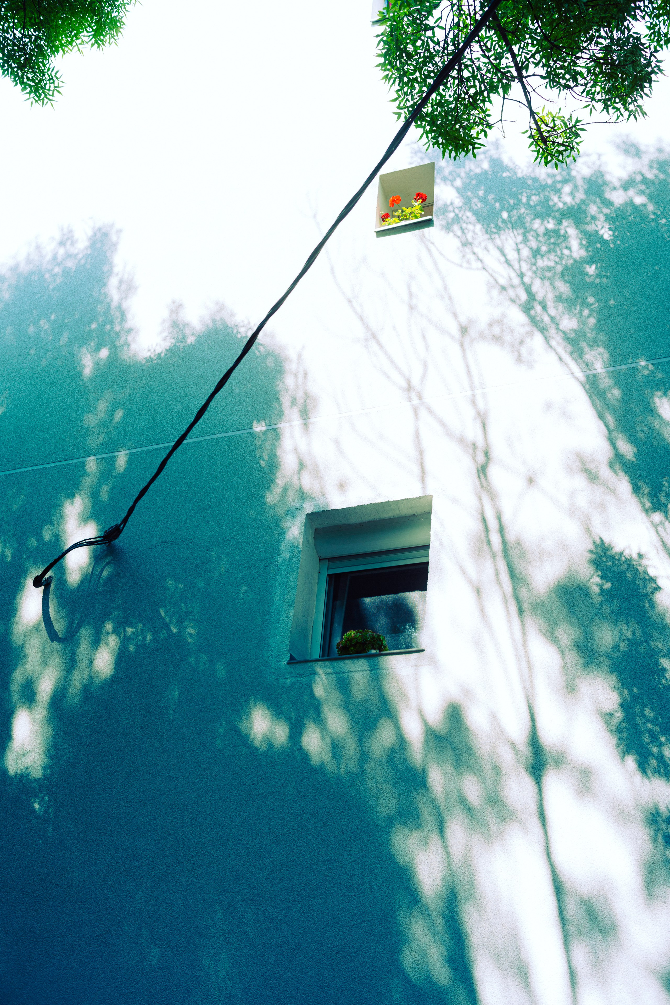 Canvas Aesthetics. Oleg Kozachok — Photographer with Protanopia | Portraits, Texture & Light