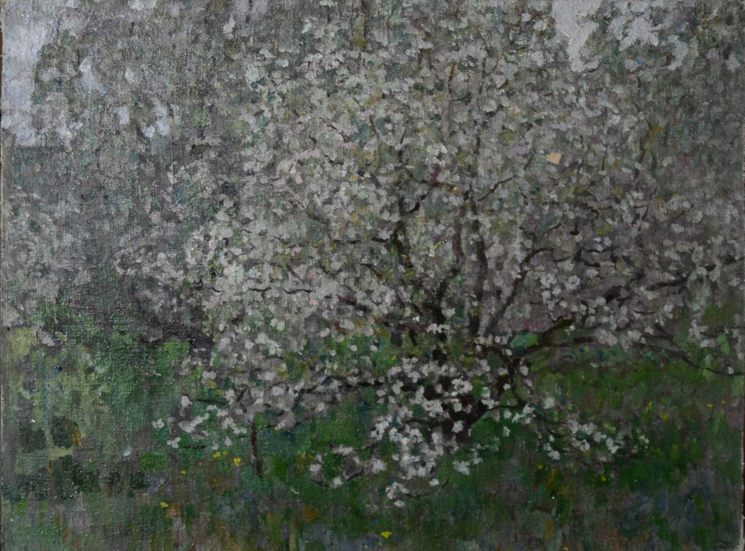 Творчество художников Рябинских: Евгения, Павла и Андрея