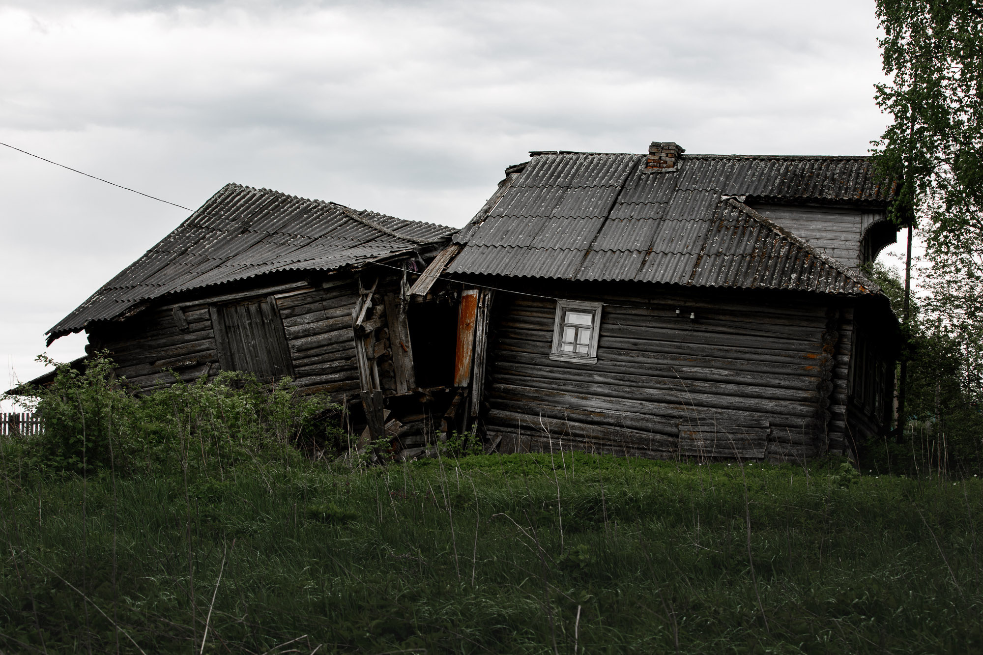 Репортажная фотосъемка на природе. Один день в Коноше с Алиной. Фотограф — путешественник Светлана Романовская