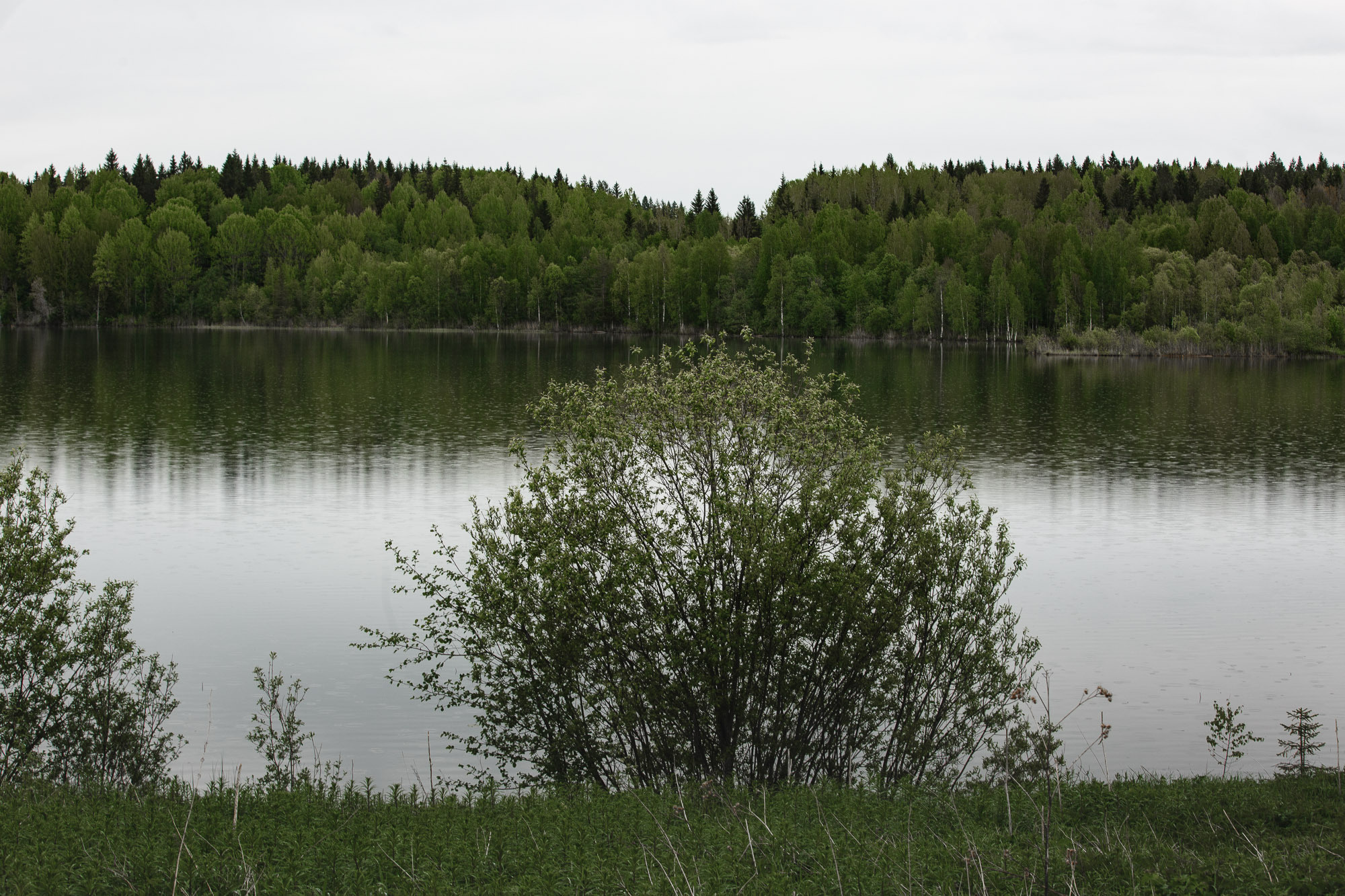 Репортажная фотосъемка на природе. Один день в Коноше с Алиной. Фотограф — путешественник Светлана Романовская