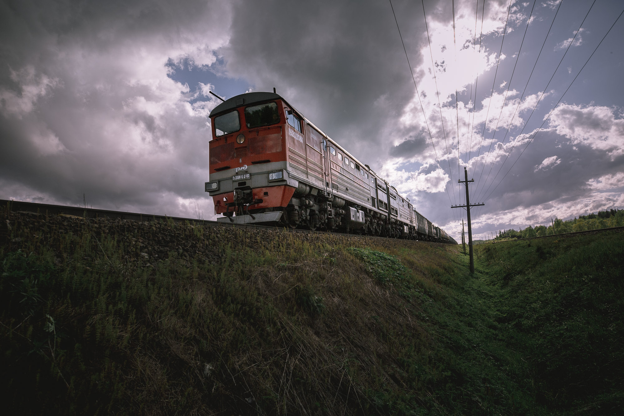 Репортажная фотосъемка на природе. Один день в Коноше с Алиной. Фотограф — путешественник Светлана Романовская