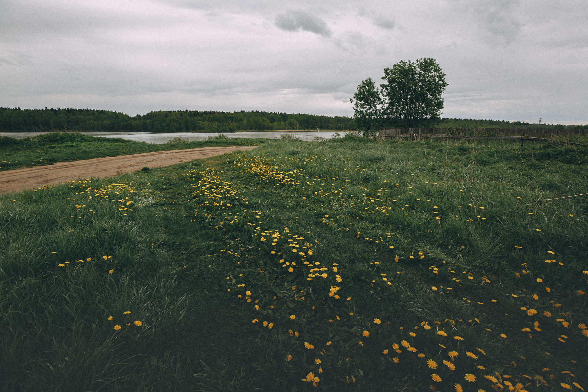 Репортажная фотосъемка на природе. Один день в Коноше с Алиной. Фотограф — путешественник Светлана Романовская