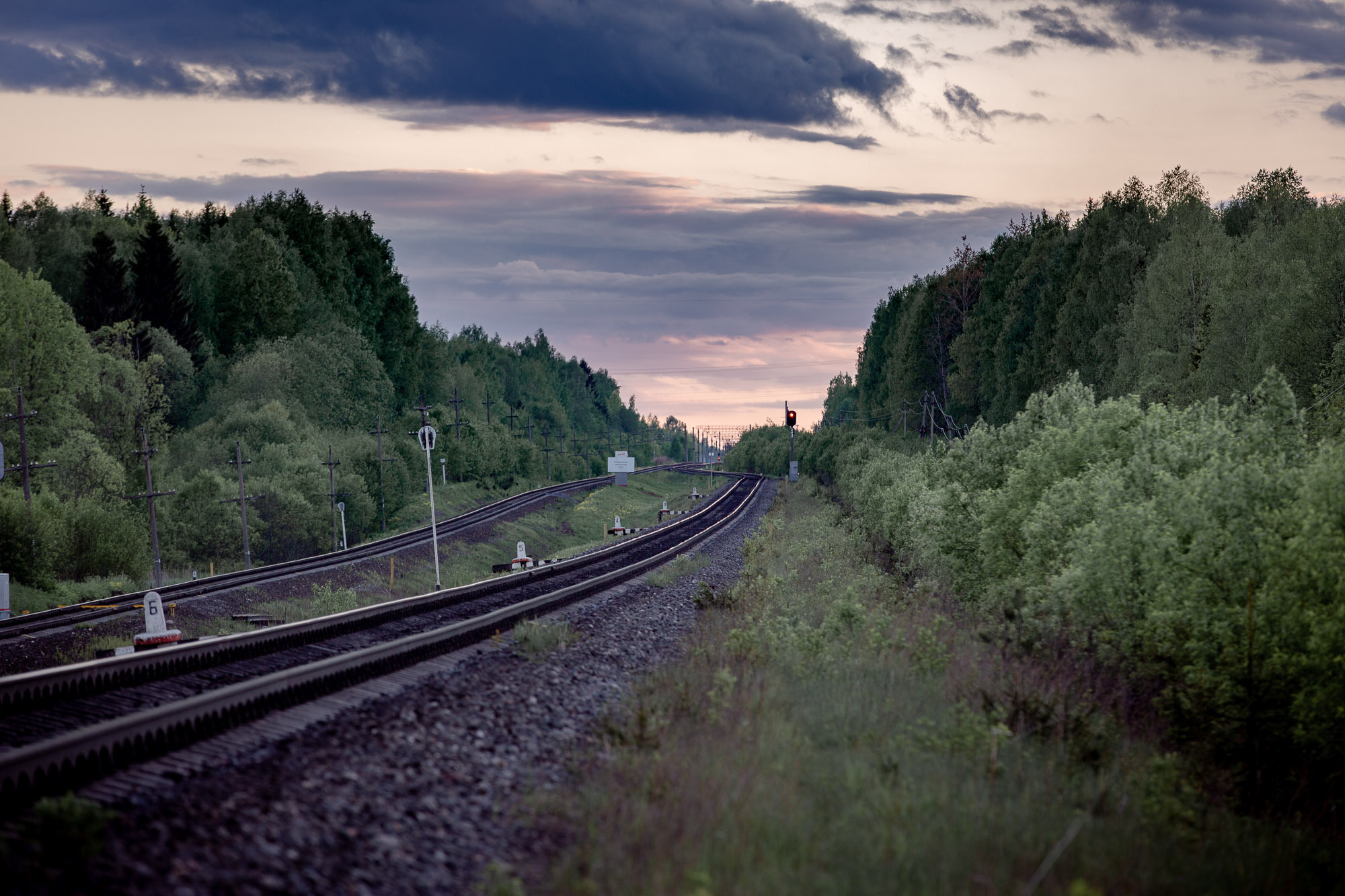 Репортажная фотосъемка на природе. Один день в Коноше с Алиной. Фотограф — путешественник Светлана Романовская