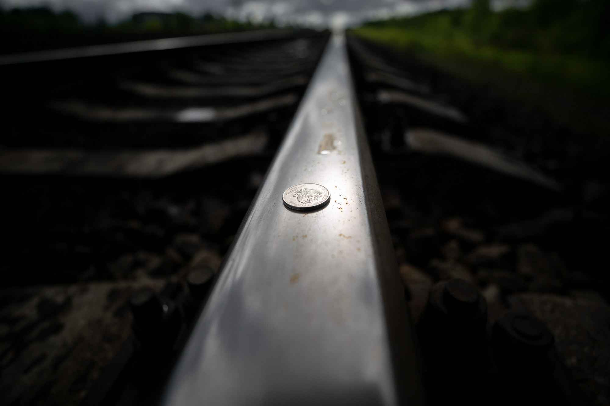 Репортажная фотосъемка на природе. Один день в Коноше с Алиной. Фотограф — путешественник Светлана Романовская