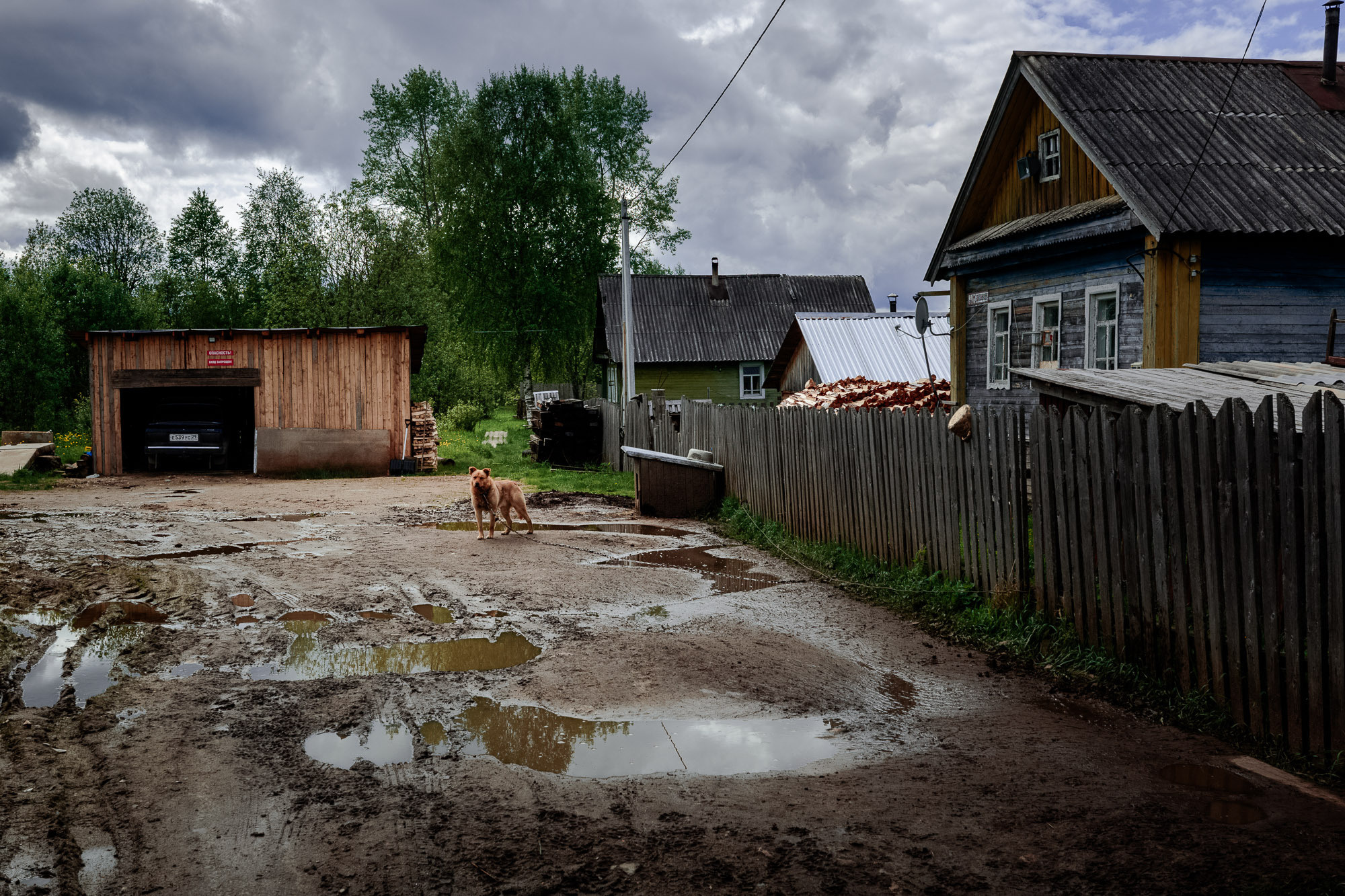 Репортажная фотосъемка на природе. Один день в Коноше с Алиной. Фотограф — путешественник Светлана Романовская