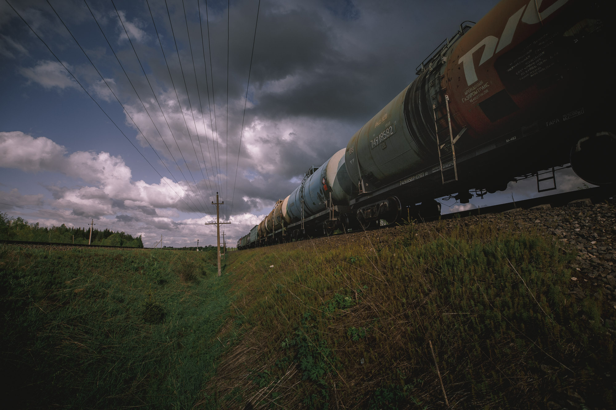 Репортажная фотосъемка на природе. Один день в Коноше с Алиной. Фотограф — путешественник Светлана Романовская
