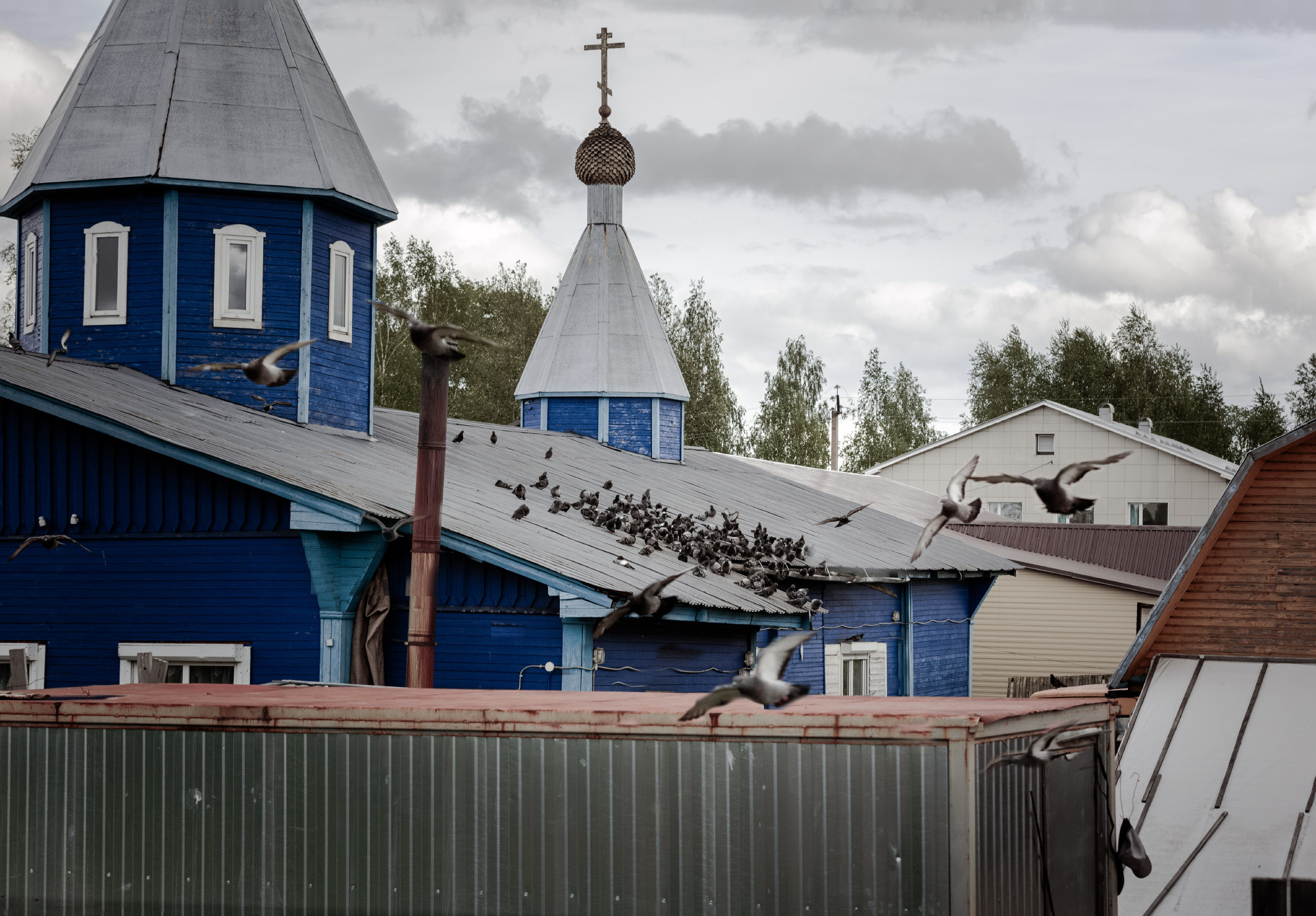 Репортажная фотосъемка на природе. Один день в Коноше с Алиной. Фотограф — путешественник Светлана Романовская