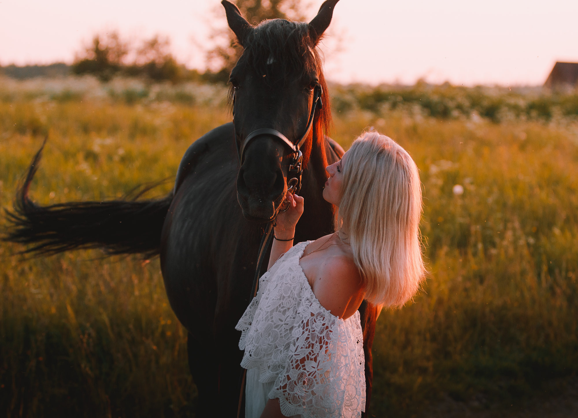 Конная фотосессия с Валерией. Летний закат. Село Нёнокса. Фотограф — путешественник Светлана Романовская
