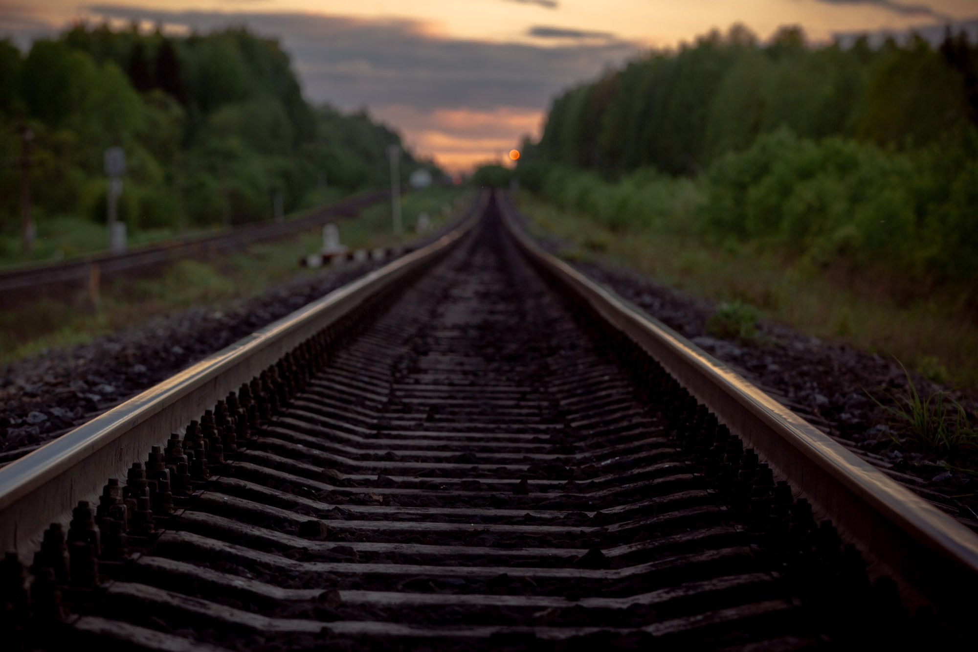 Репортажная фотосъемка на природе. Один день в Коноше с Алиной. Фотограф — путешественник Светлана Романовская