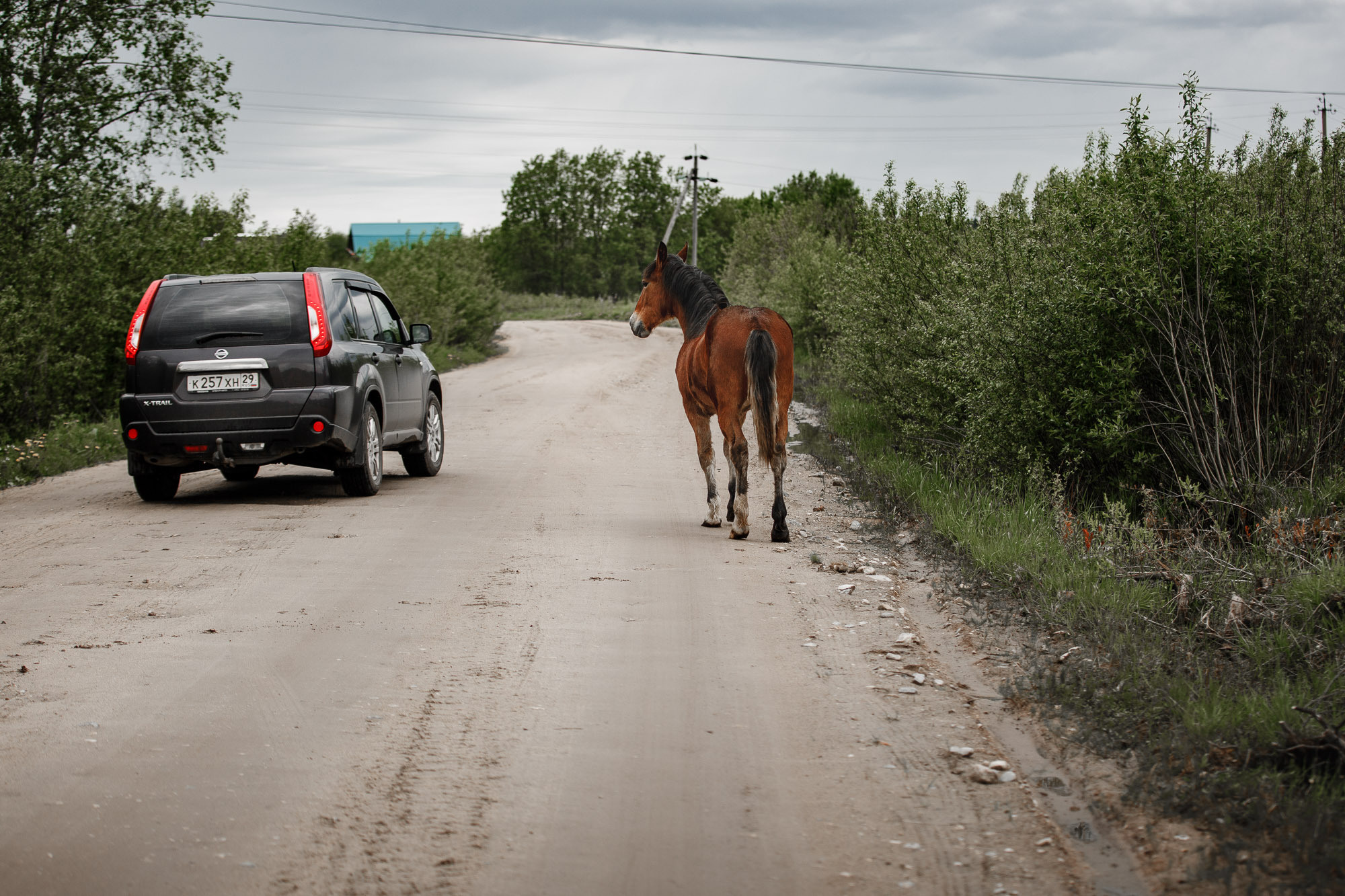 Репортажная фотосъемка на природе. Один день в Коноше с Алиной. Фотограф — путешественник Светлана Романовская