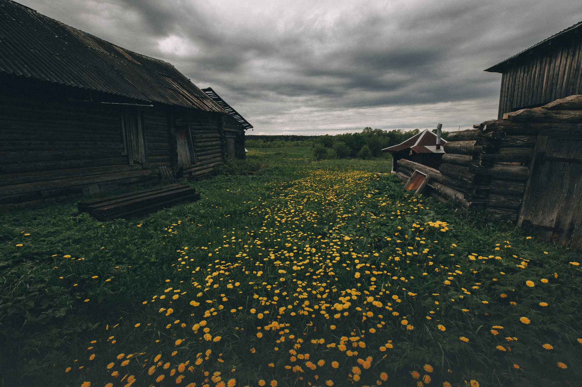Репортажная фотосъемка на природе. Один день в Коноше с Алиной. Фотограф — путешественник Светлана Романовская