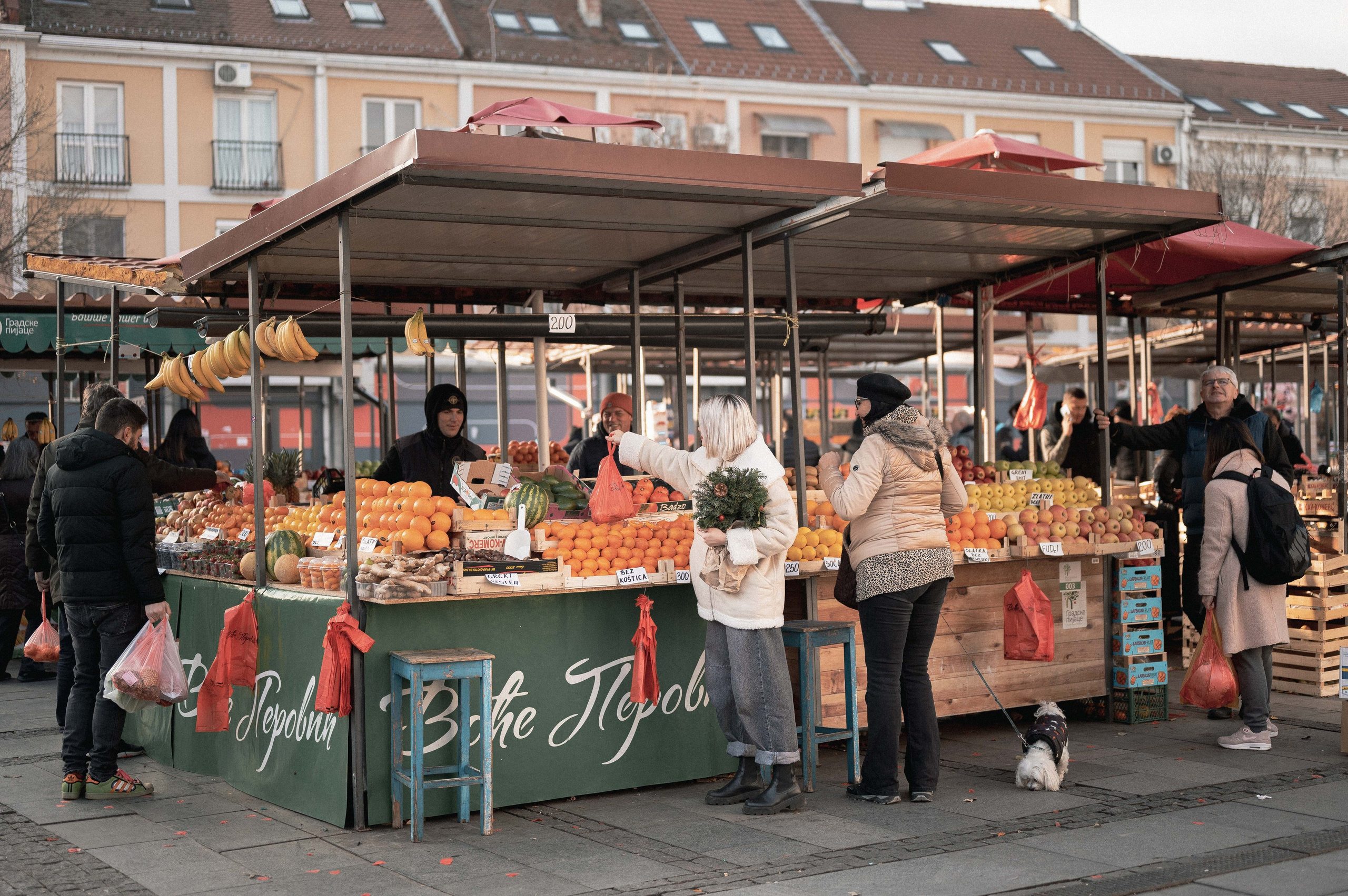 АЛИСА И НОВЫЙ ГОД. Фотограф в Белграде Чугреева Елена