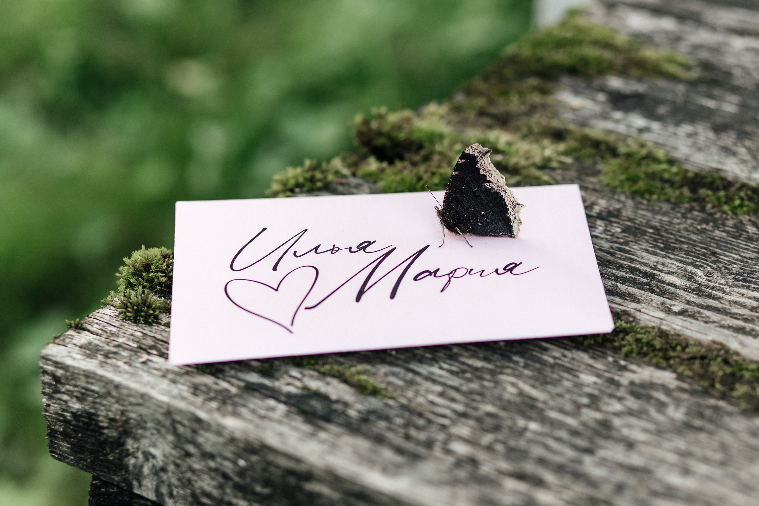 Илья и Мария. Свадебный фотограф Настя Шелл г. Череповец