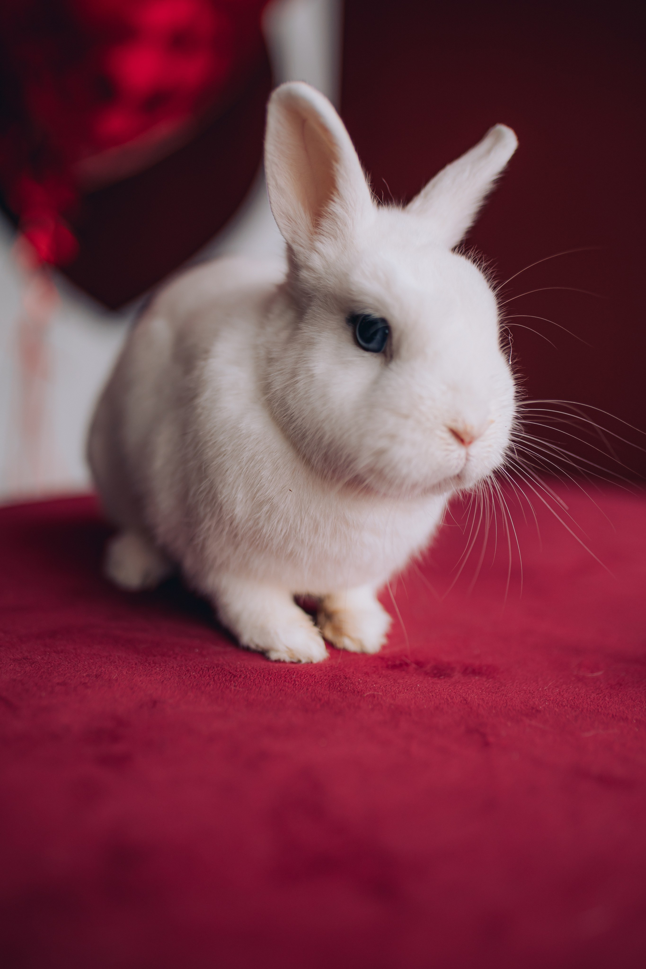 ETO Studio — фотостудия в Минске. Понравилась студия? Напишите — организую съёмку именно здесь. Фотограф в Минске Людмила Дутко