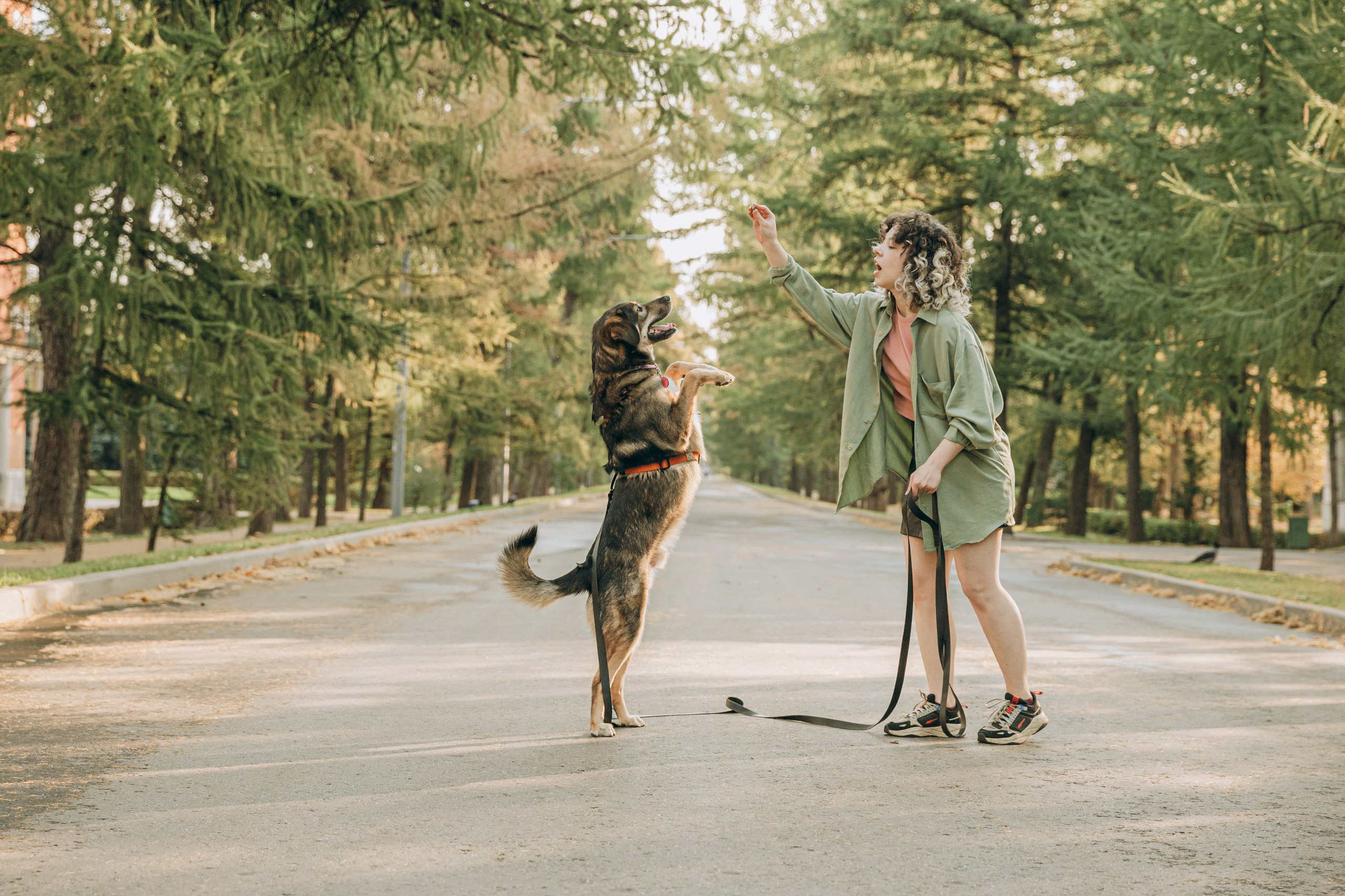 Фотограф-анималист в Москве Соломонова Варвара