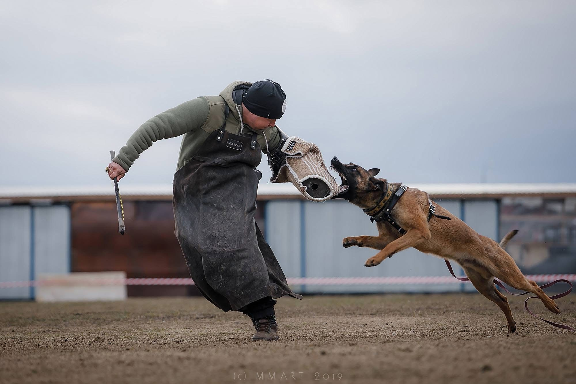Фотограф-анималист Mary Mart — Москва, Питер
