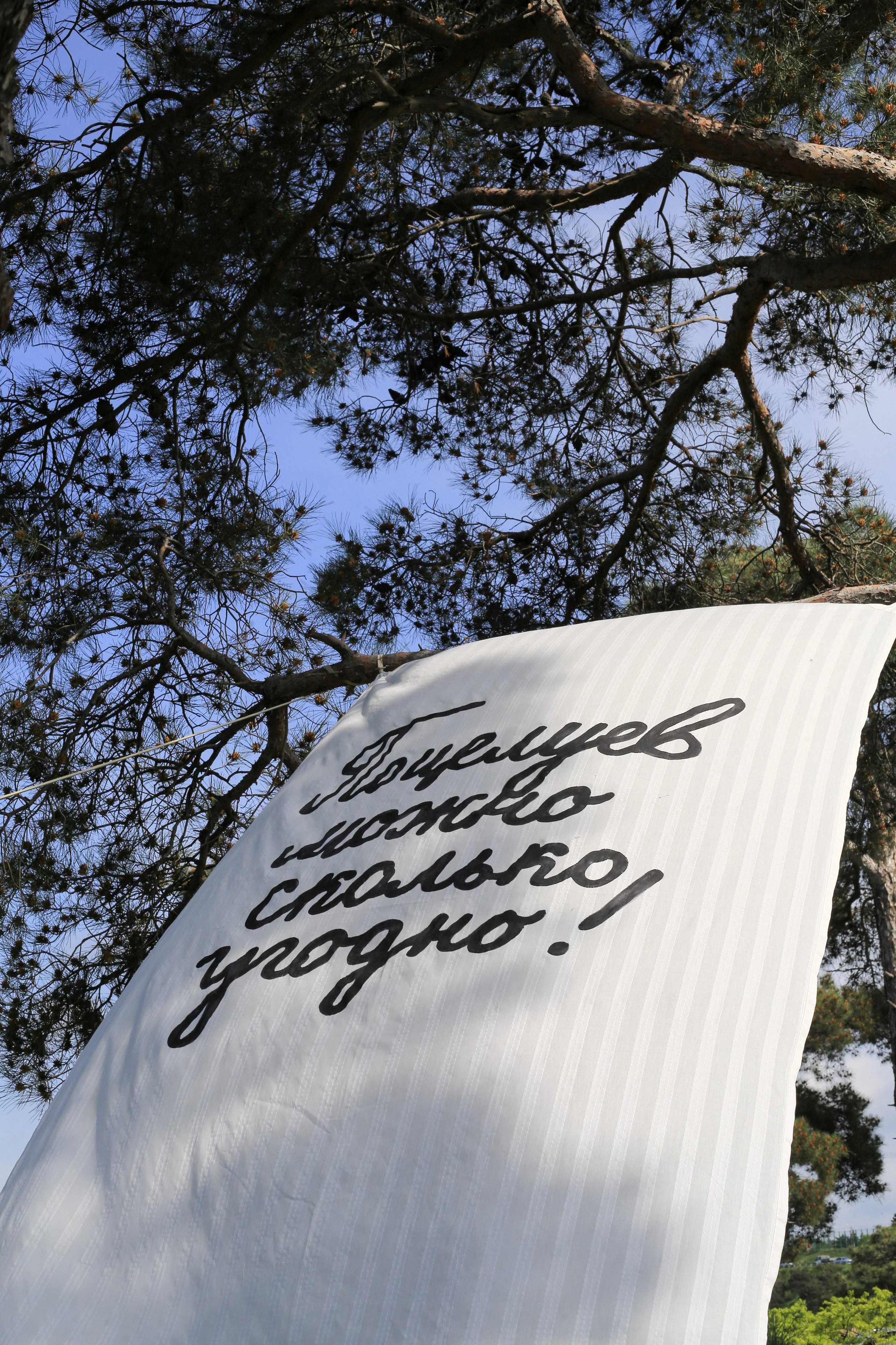 The exhibition under trees. KST