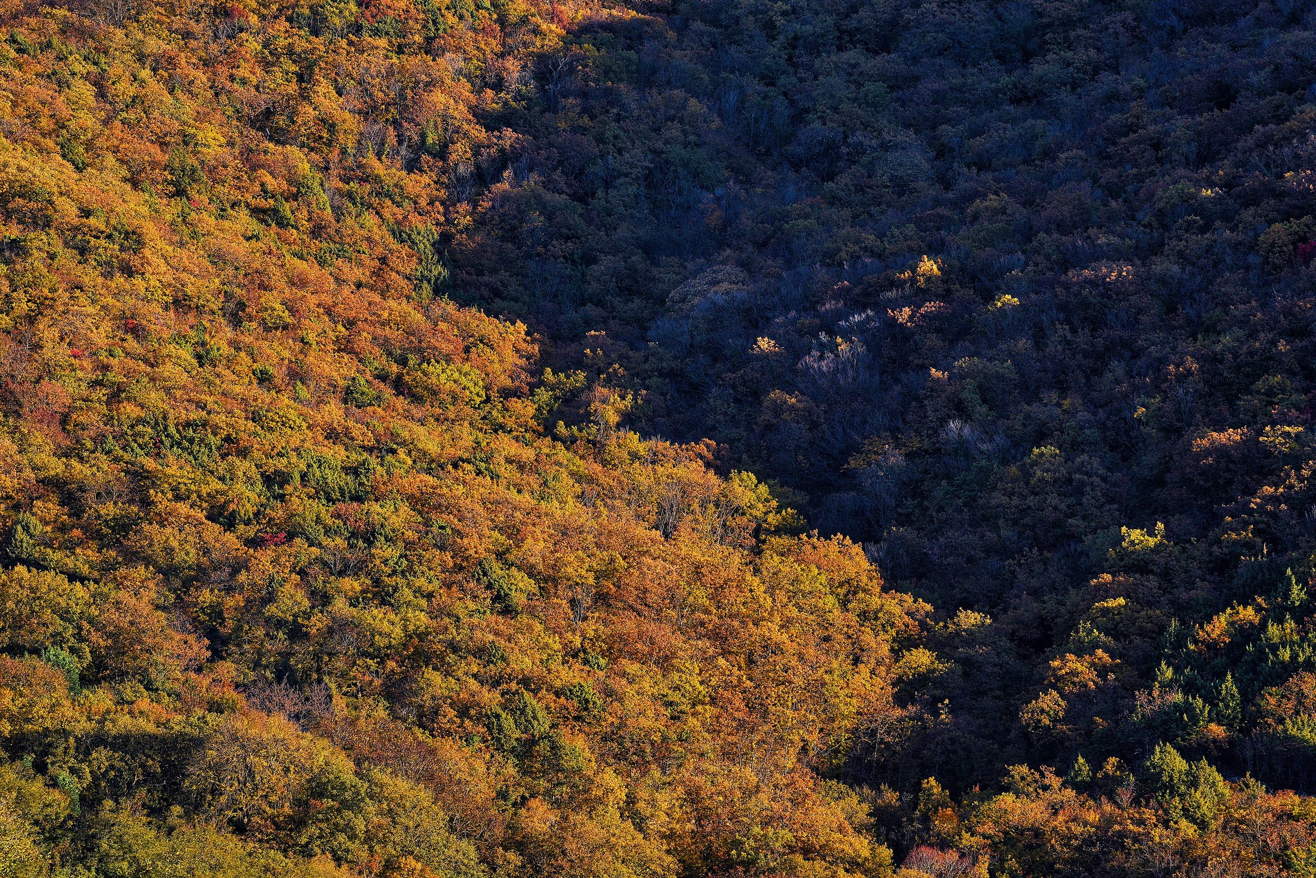 Пейзажи. Яркие фото на Чёрном море