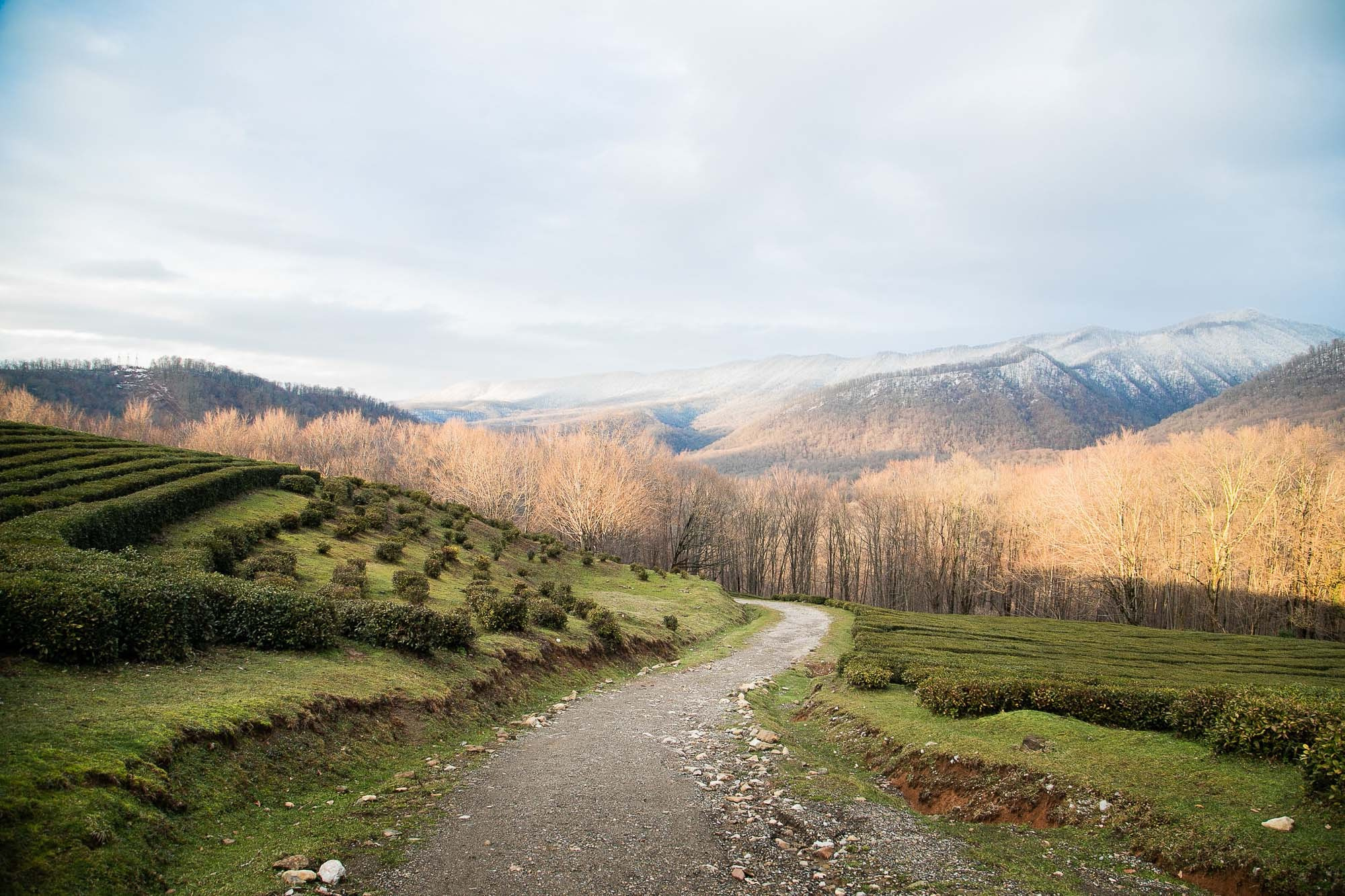 Семейный и детский фотограф в Санкт-Петербург. Natalia Fadel