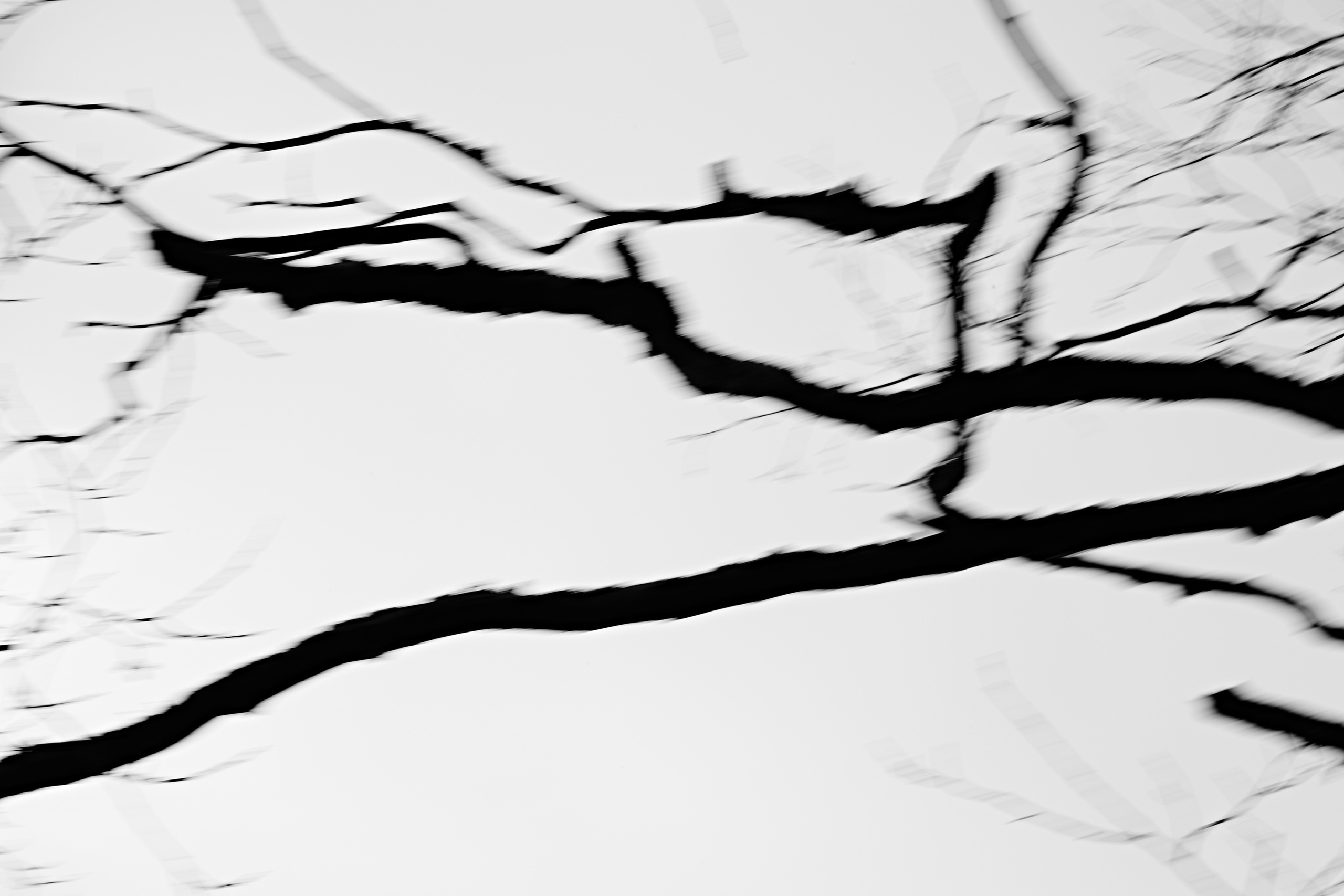 Фотограф Анастасия Федорова Санкт-Петербург