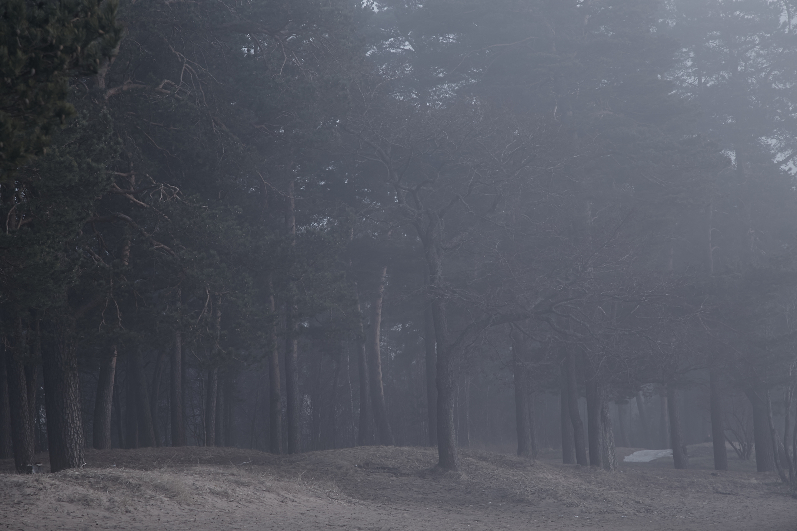 Фотограф Анастасия Федорова Санкт-Петербург