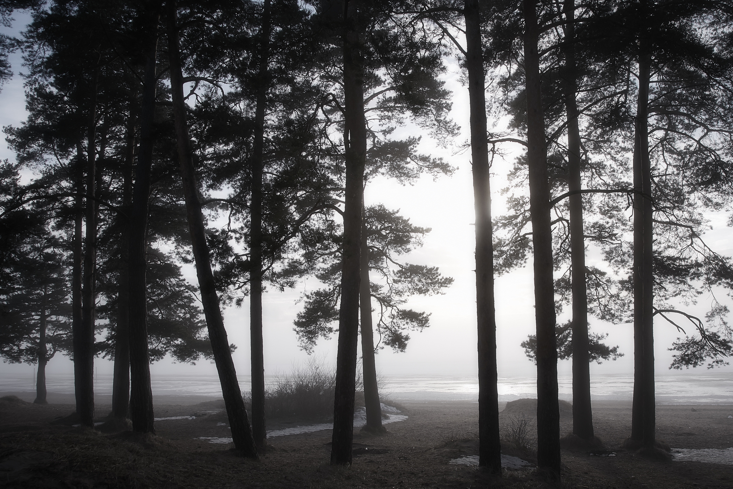 Фотограф Анастасия Федорова Санкт-Петербург