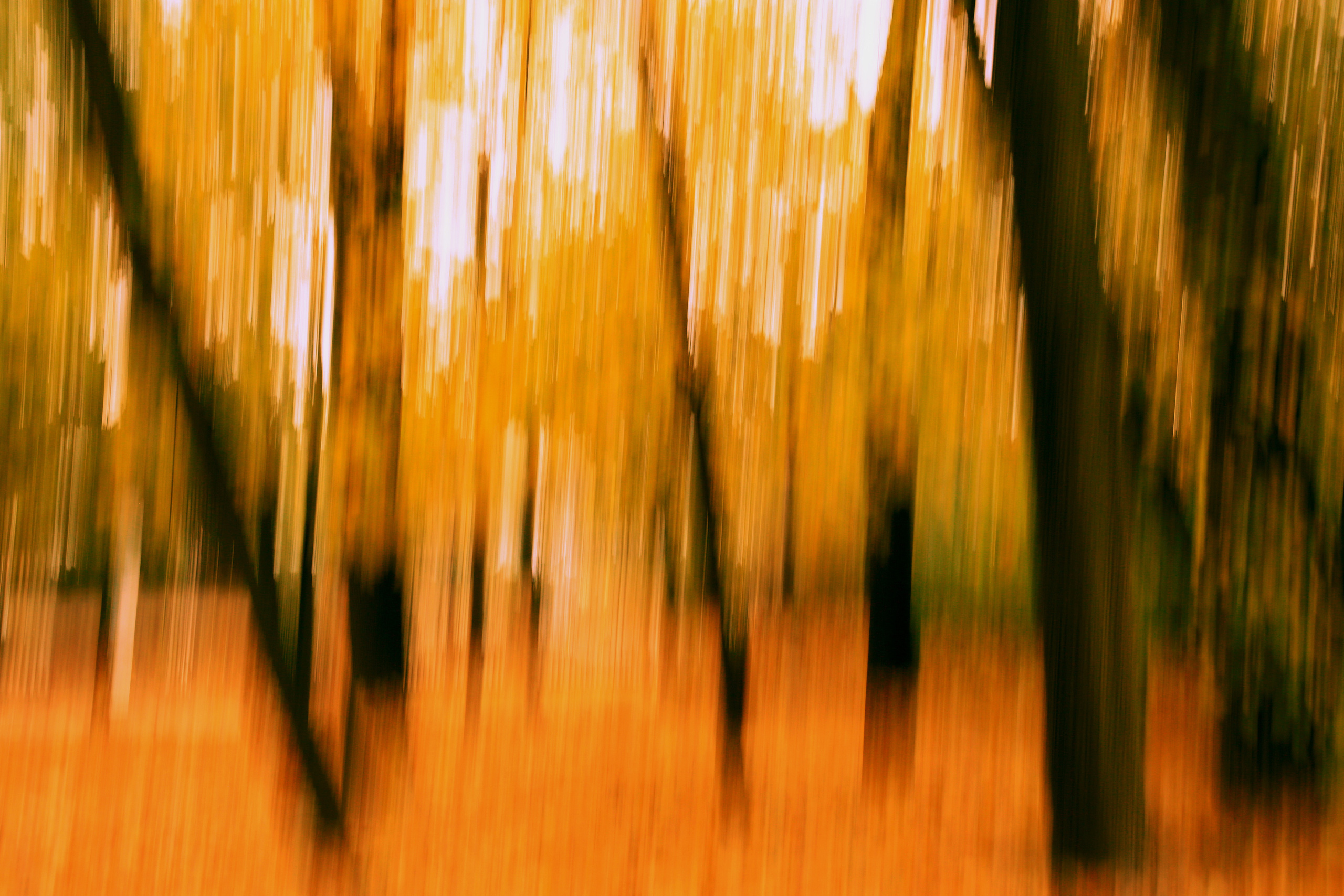 Фотограф Анастасия Федорова Санкт-Петербург