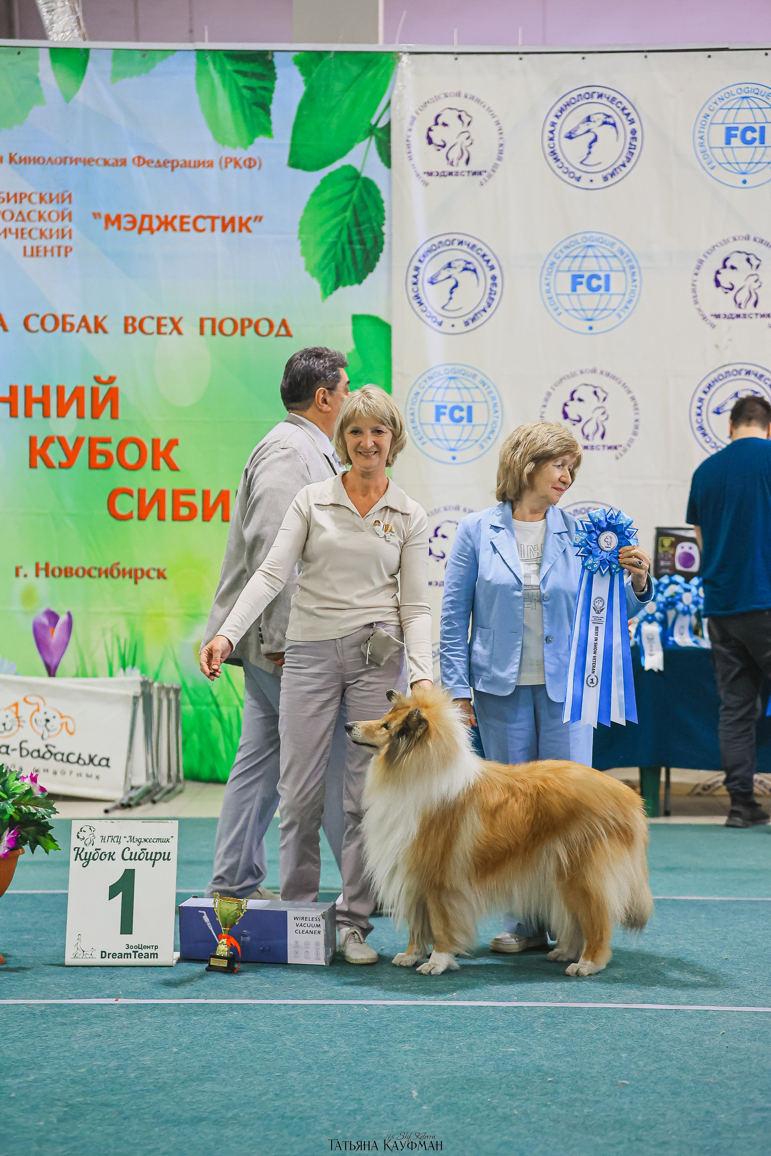 13.07.25 2х выставки собак. Новосибирск. «Кубок Сибири»