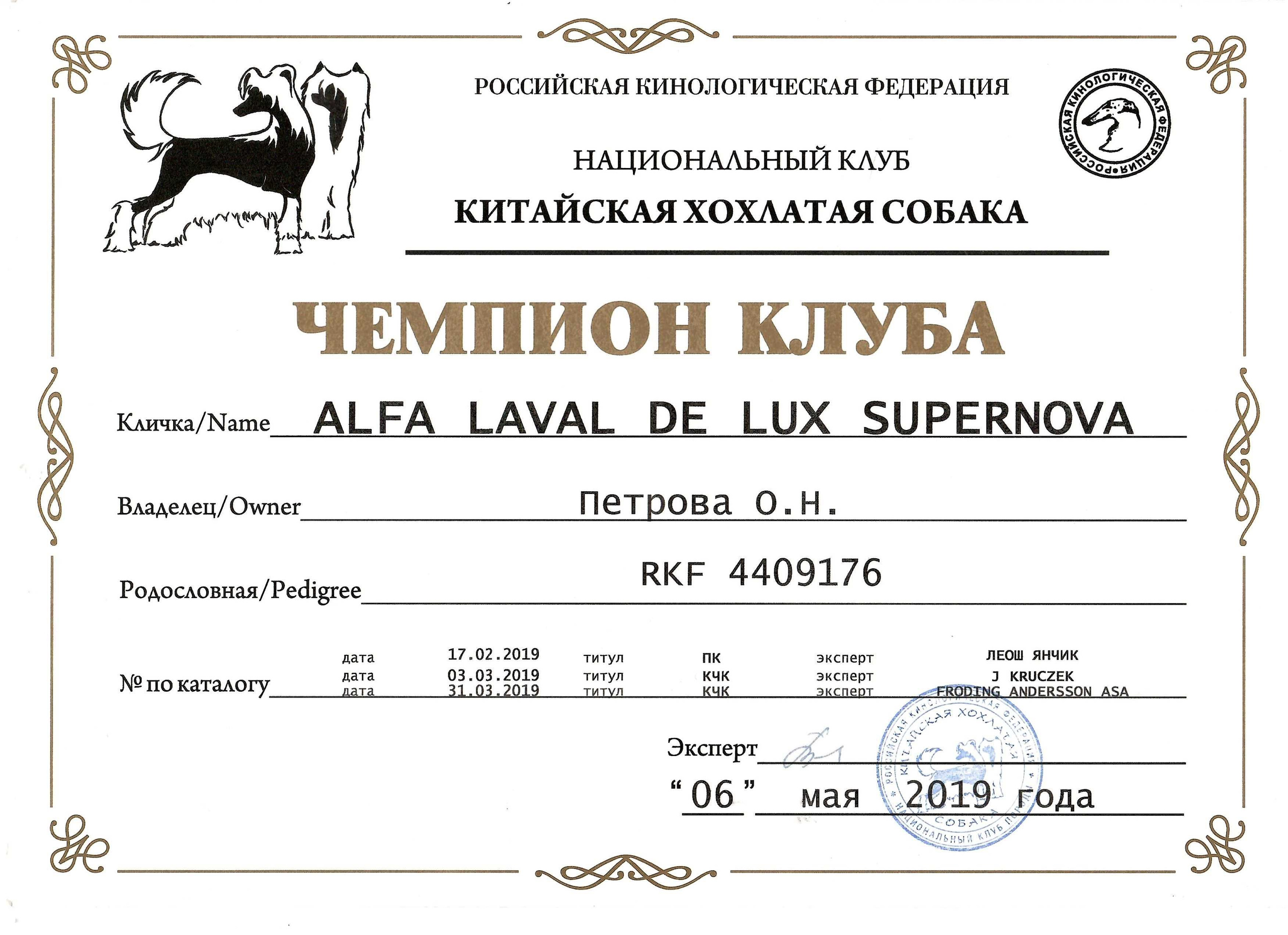 Alfa Laval De lux Supernova. Питомник китайских хохлатых собак Poale Ell: купить щенка