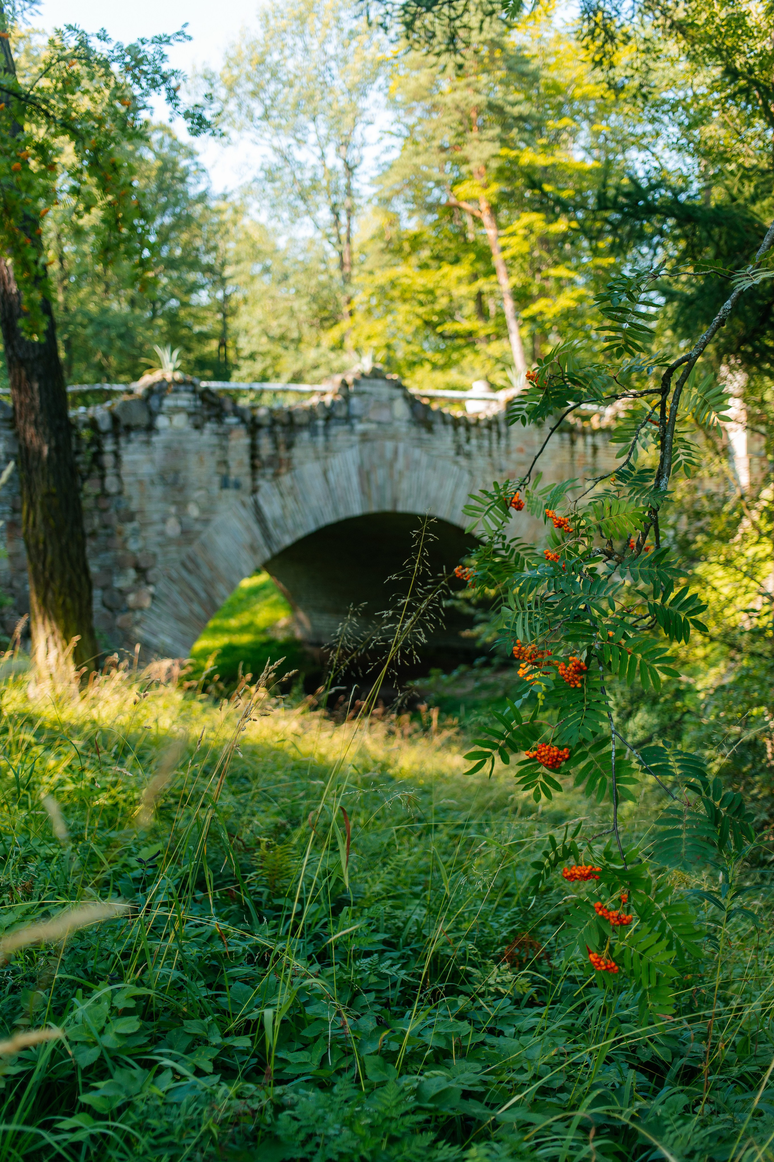 ФОТОСЕССИЯ В ПЕТЕРГОФЕ. ГДЕ СНИМАТЬ В ПЕТЕРГОФЕ