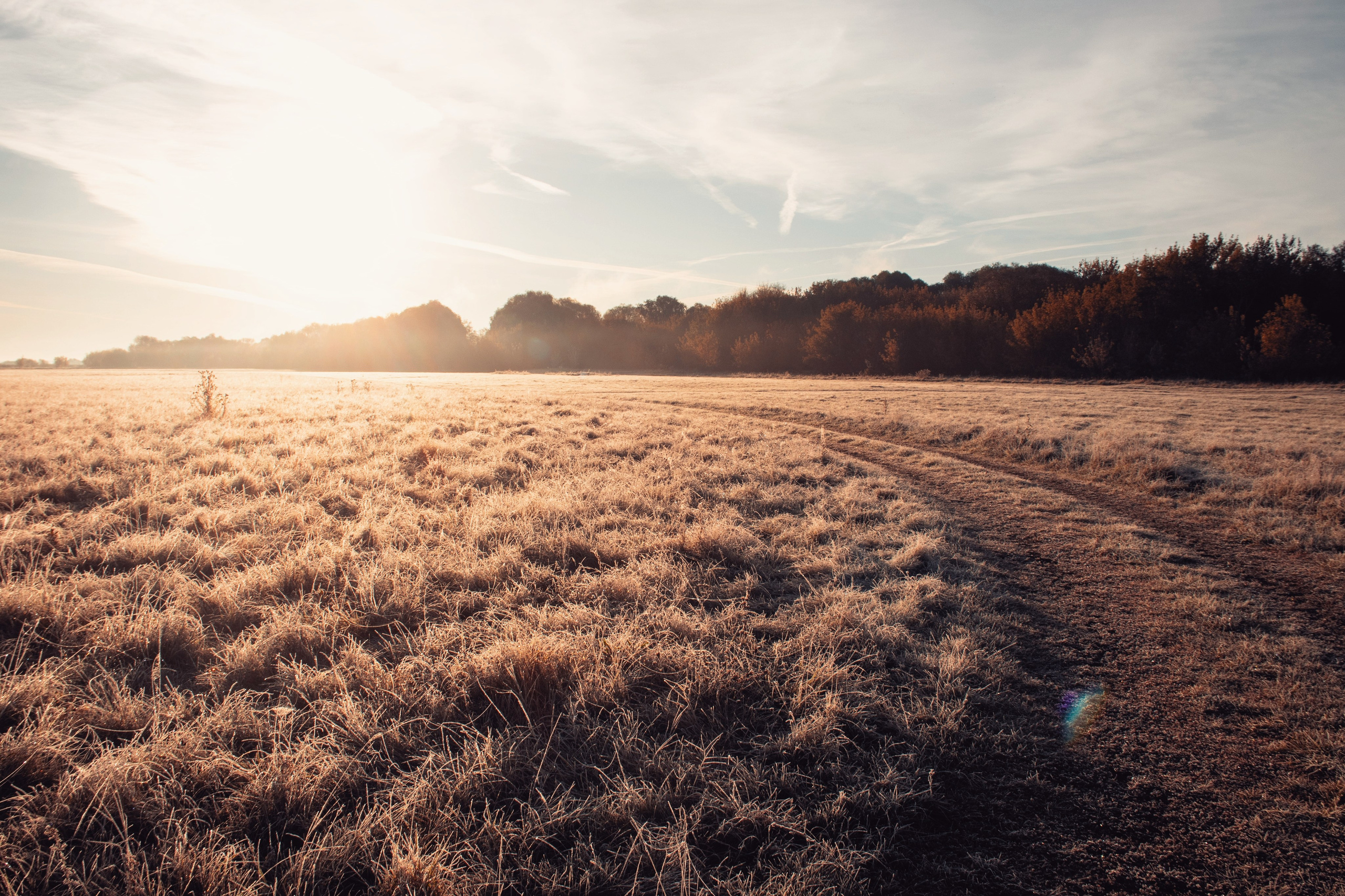 Волшебное утро в первый день октября. С любовью, фотохудожник