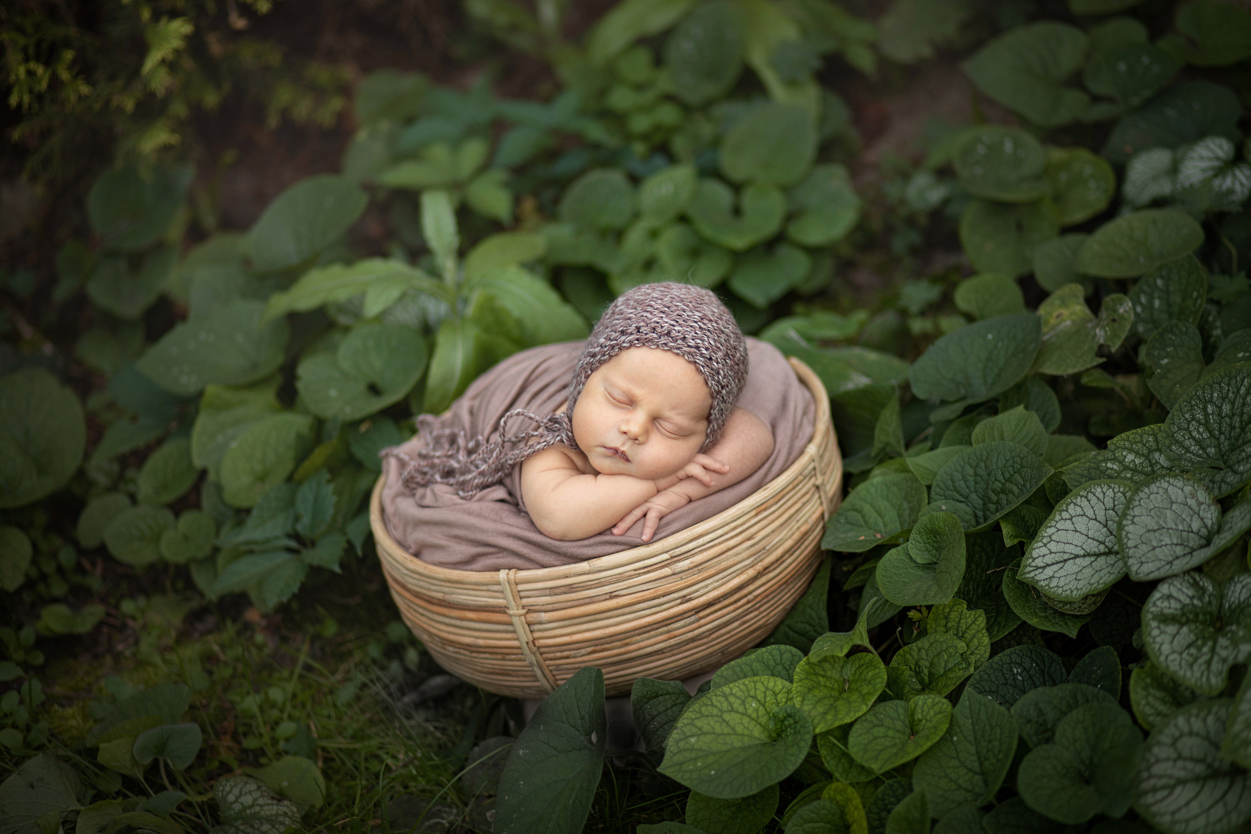 Фотосессия малыша в самые первые дни после рождения в Орле. Professional newborn photographer in Moscow, Oryol, and other cities, Anna Shorokhova